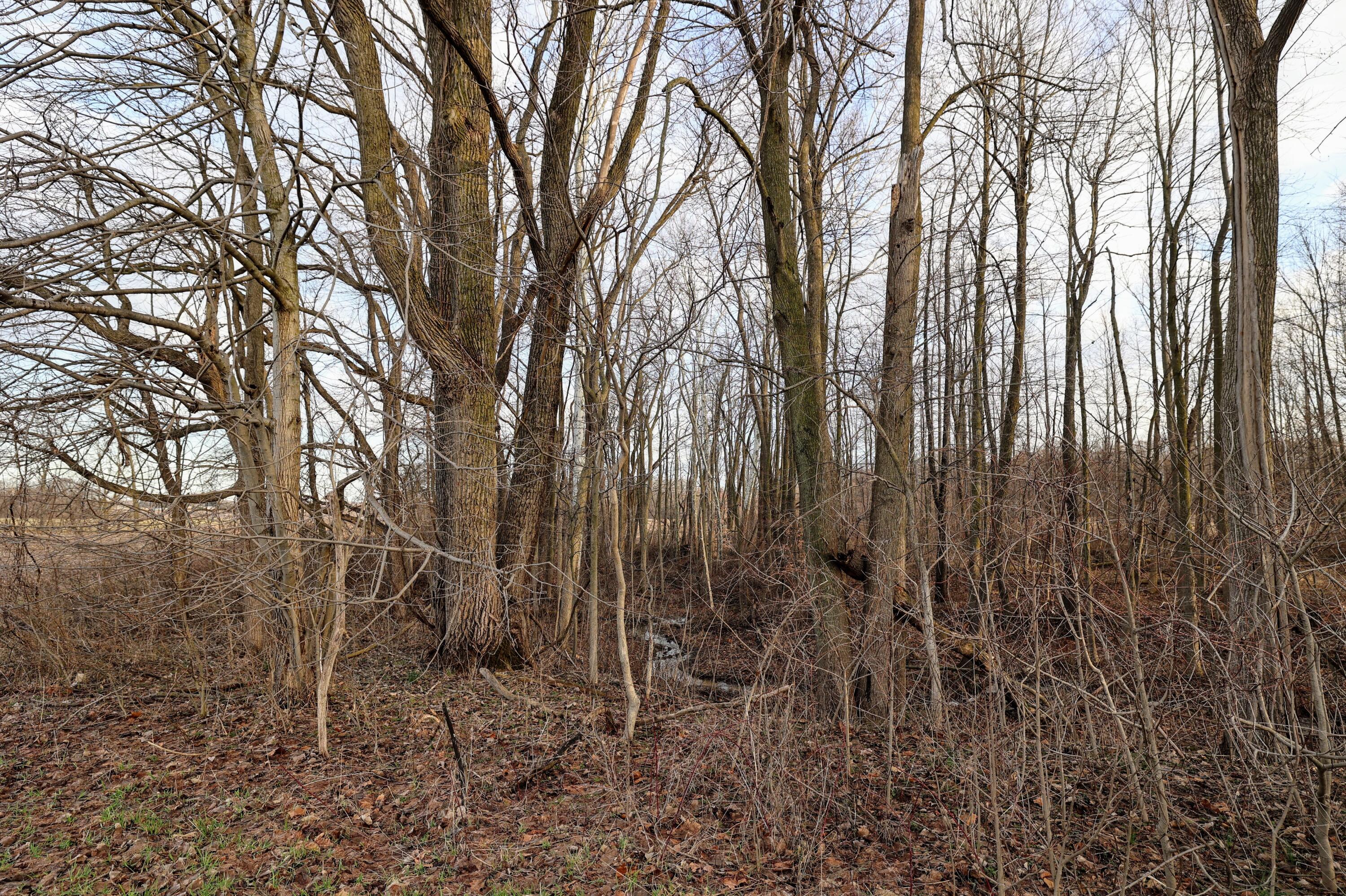 Ville W Glendora Road Buchanan MI 49107