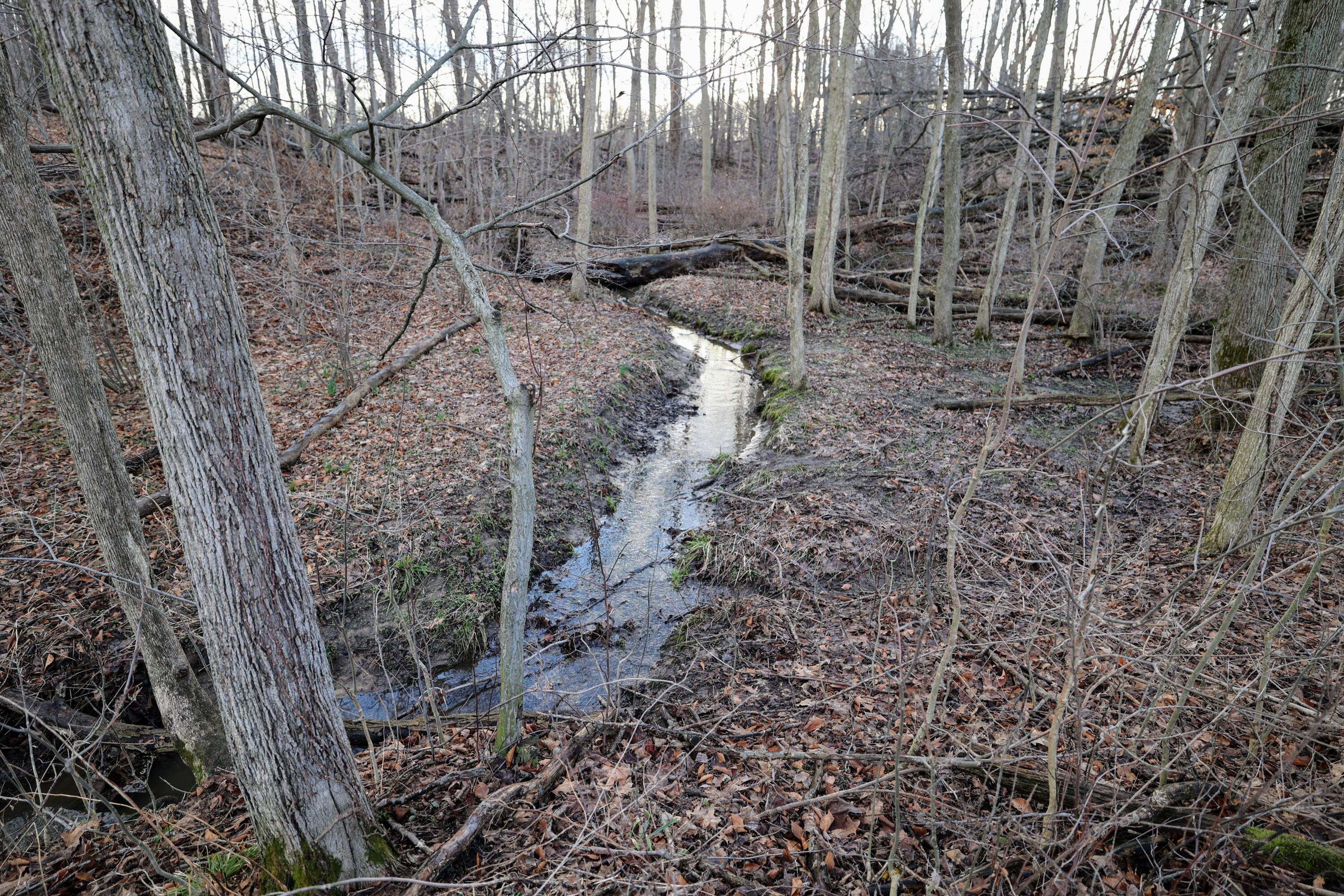Ville W Glendora Road Buchanan MI 49107