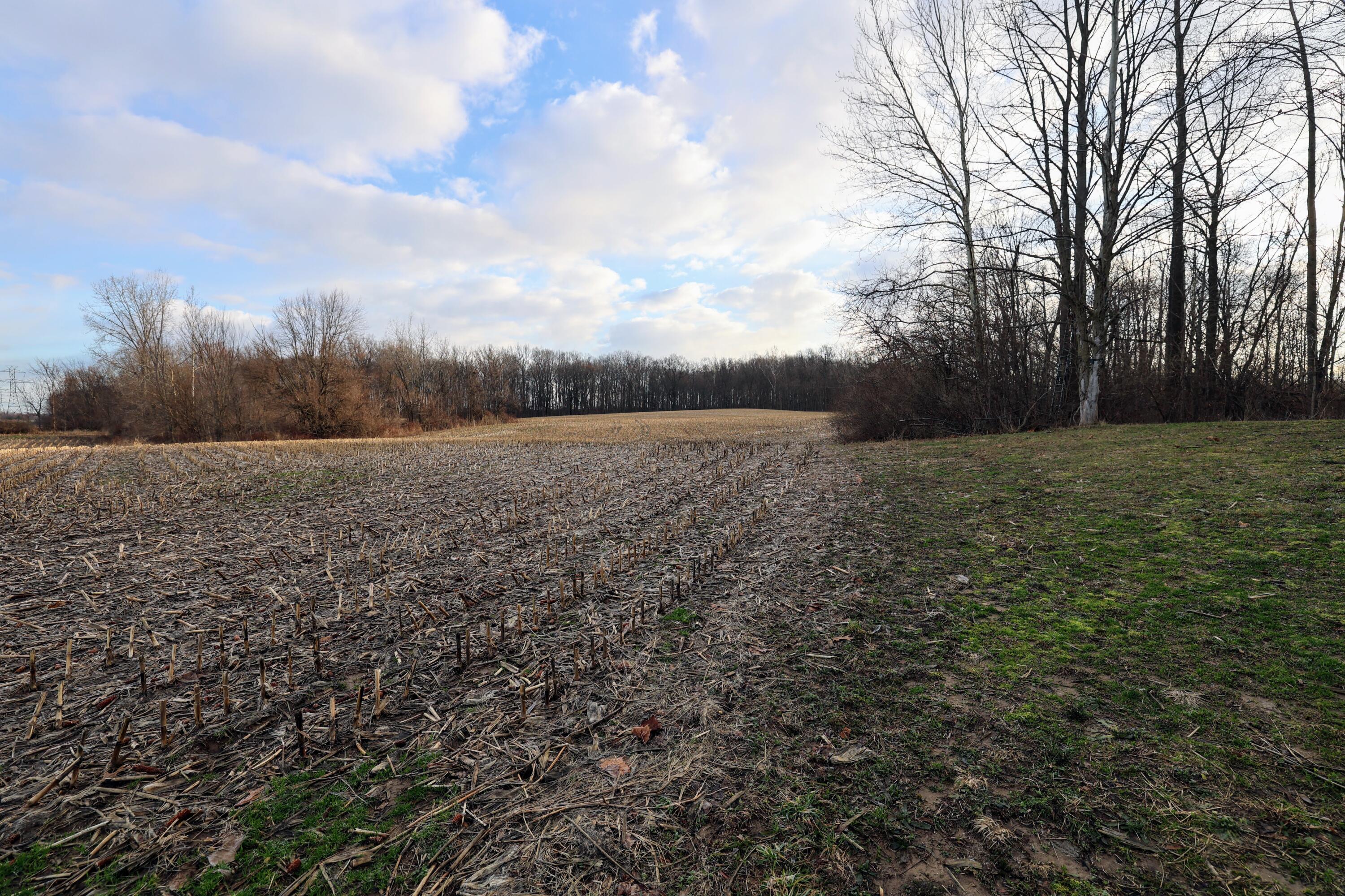 Ville W Glendora Road Buchanan MI 49107