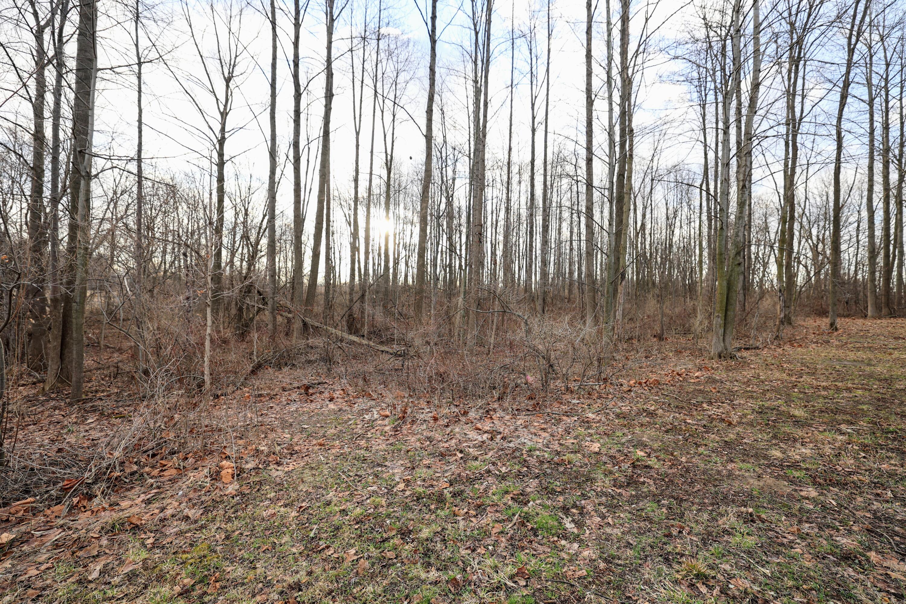 Ville W Glendora Road Buchanan MI 49107