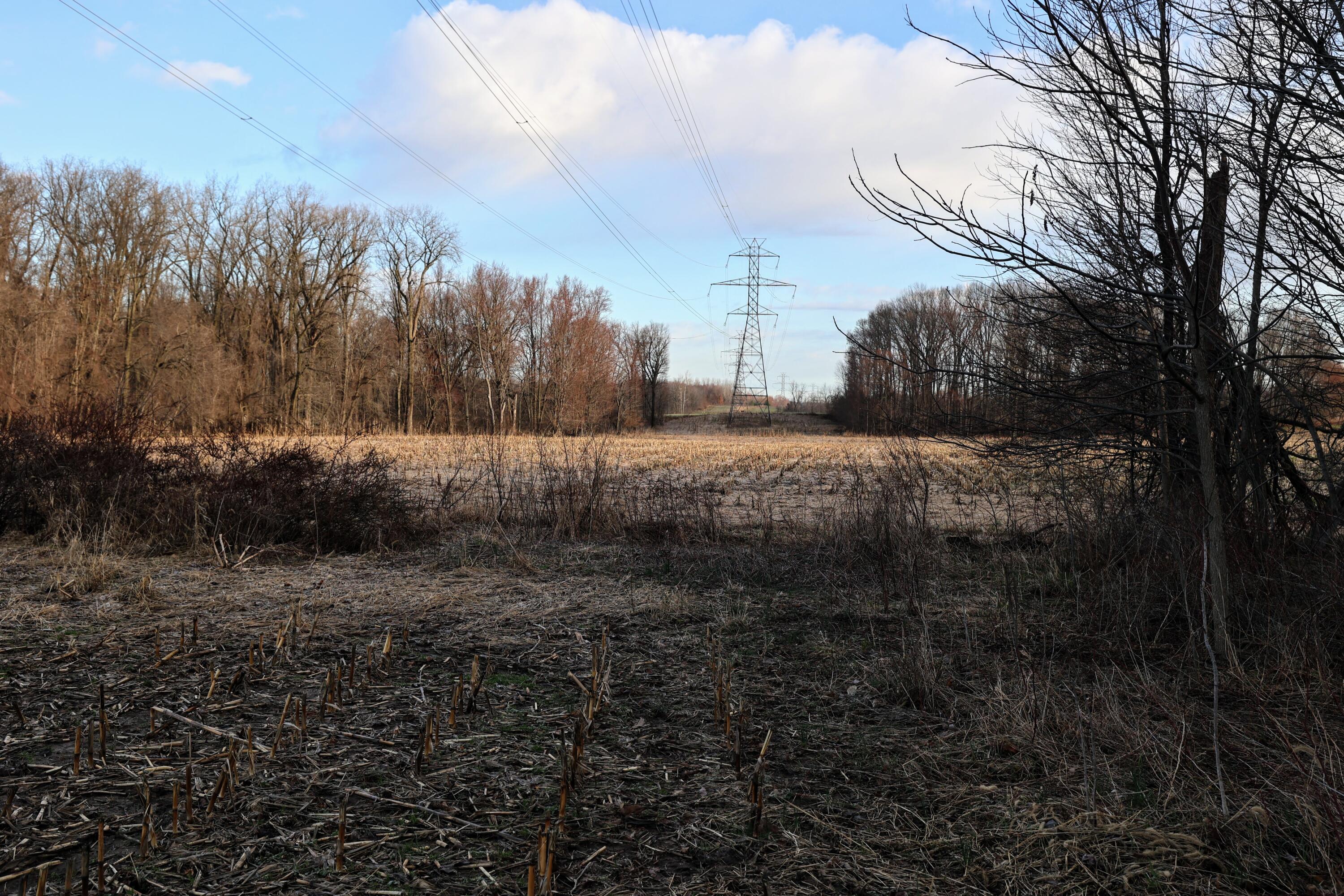 Ville W Glendora Road Buchanan MI 49107