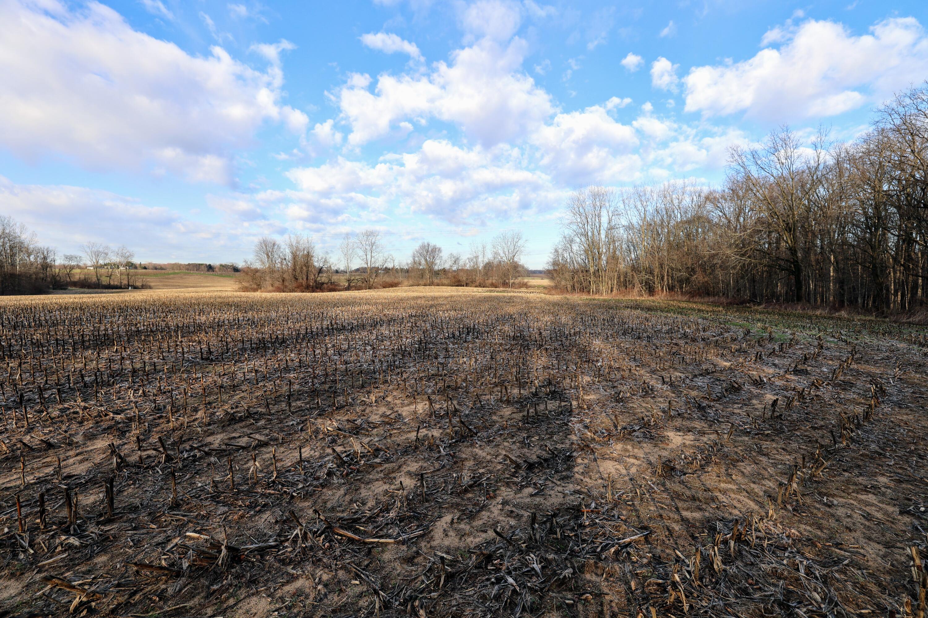 Ville W Glendora Road Buchanan MI 49107