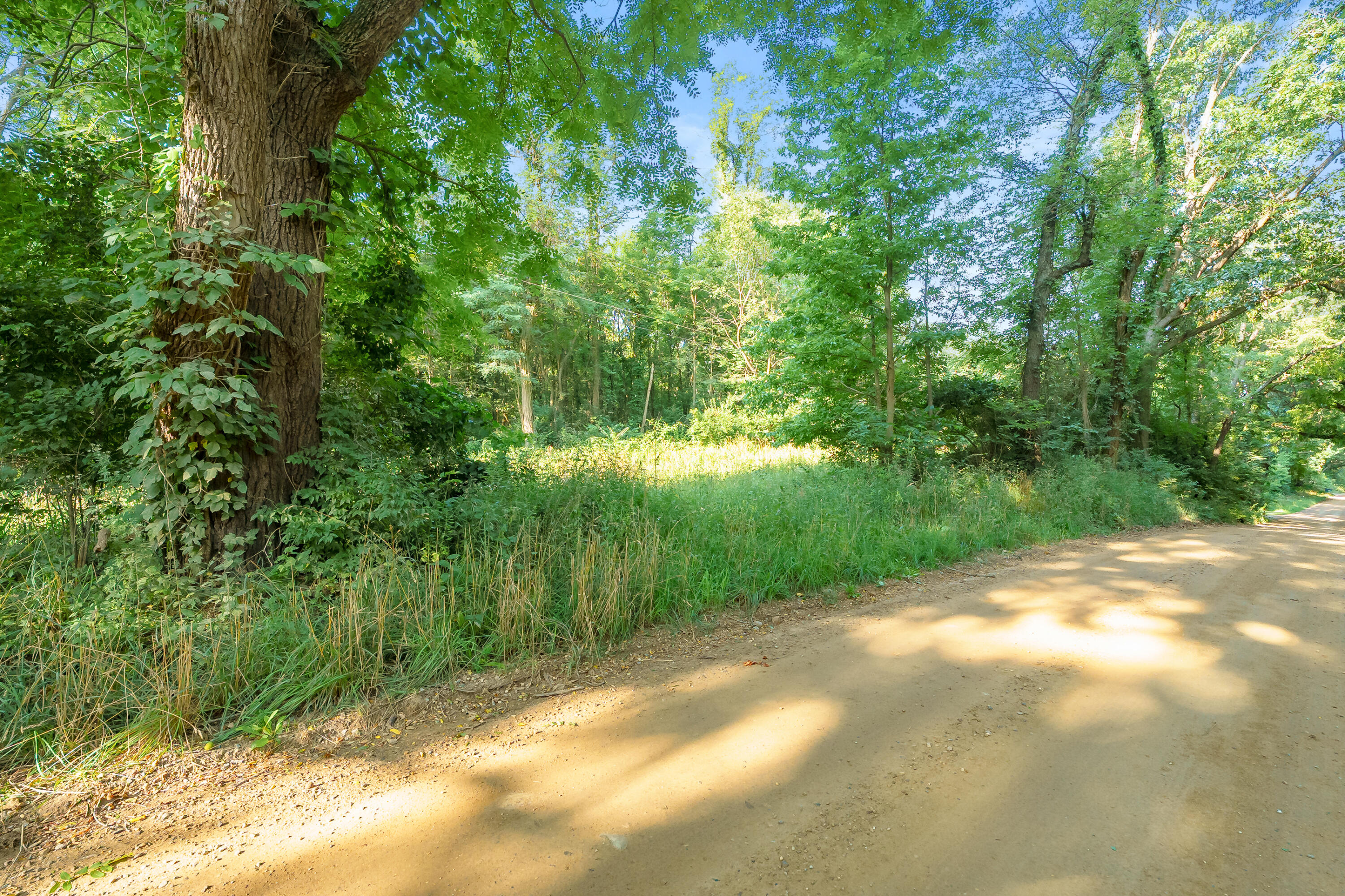 10391 Cranberry Lake Street Marcellus MI 49067
