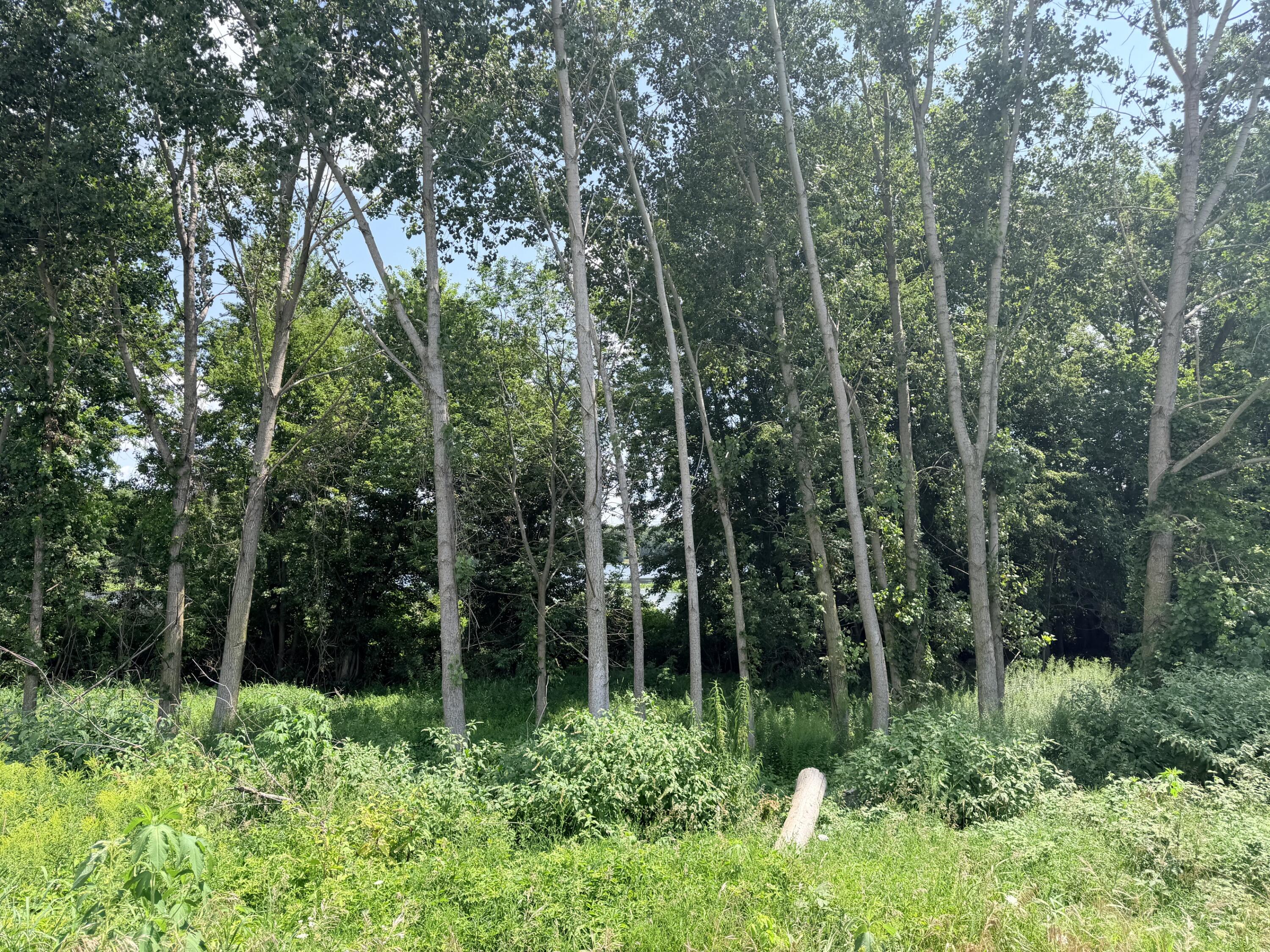375 Post Way Allegan MI 49010