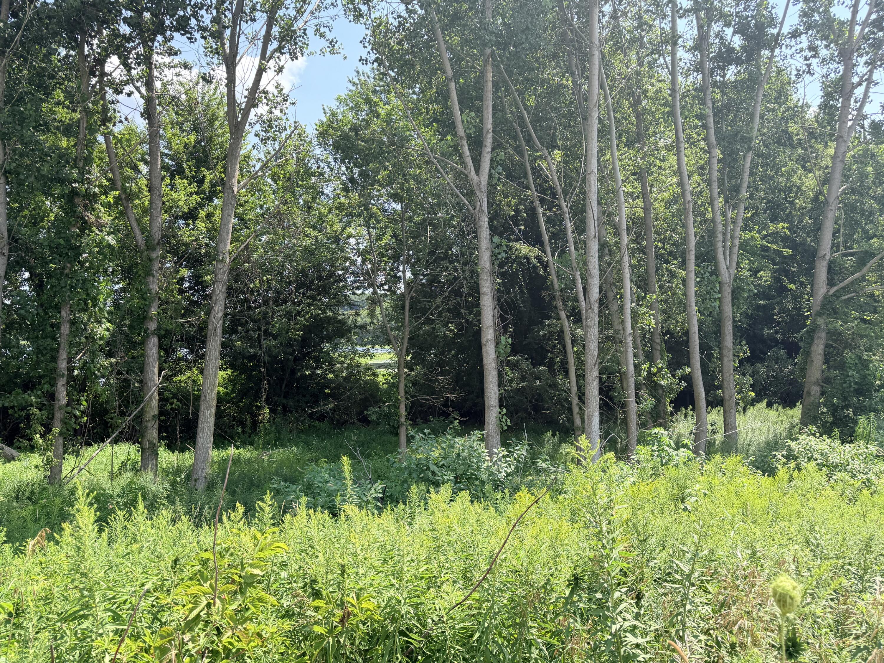 375 Post Way Allegan MI 49010