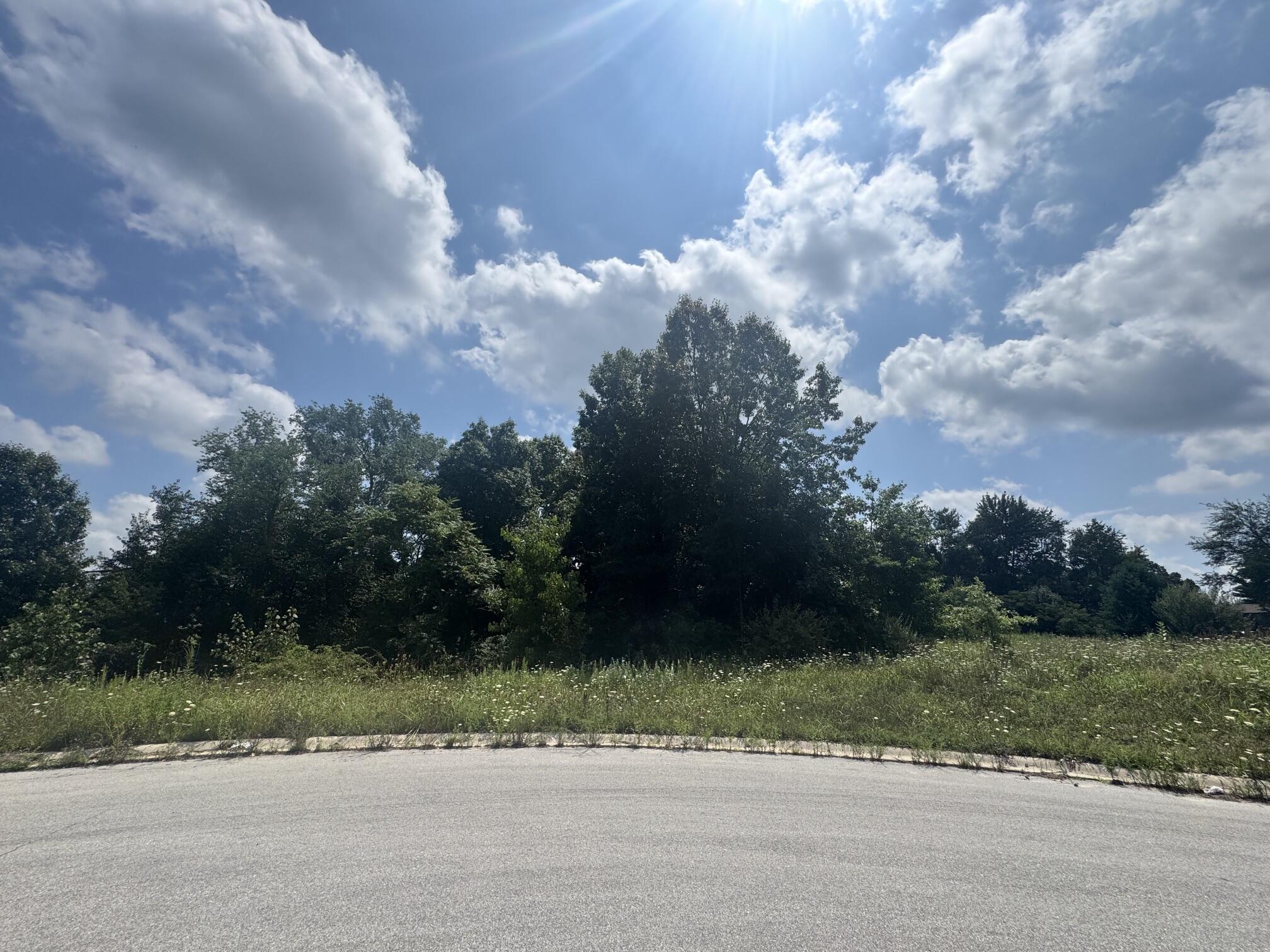 00 Hidden Hills Drive Niles MI 49120
