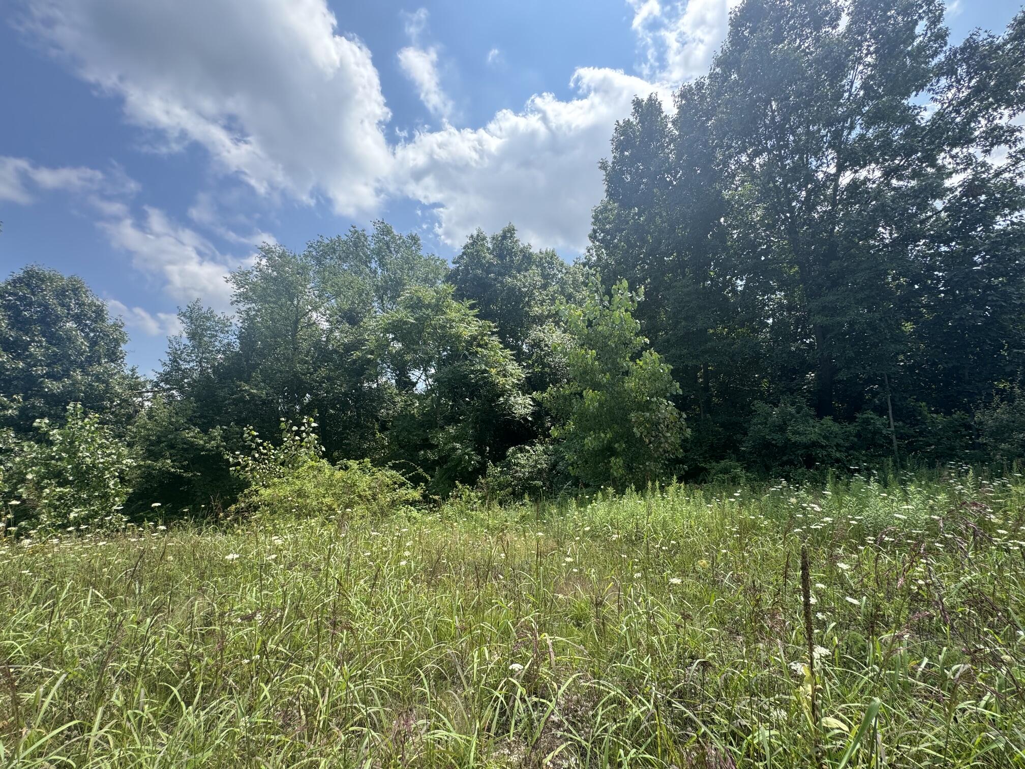00 Hidden Hills Drive Niles MI 49120