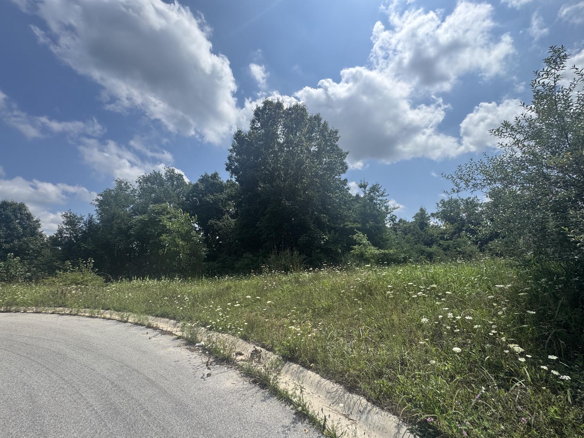 00 Hidden Hills Drive Niles MI 49120