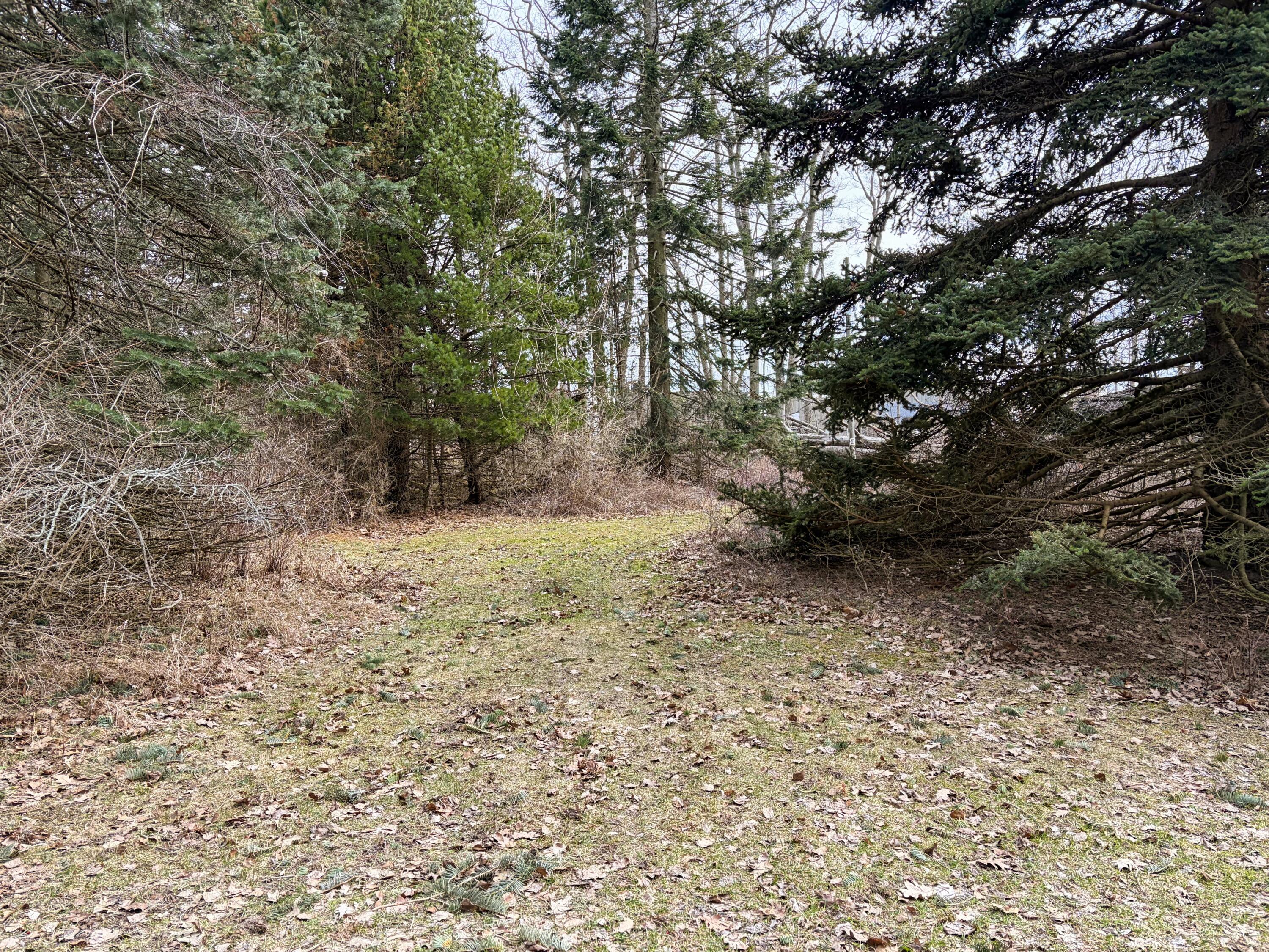 4973 S Lakeshore Drive Ludington MI 49431