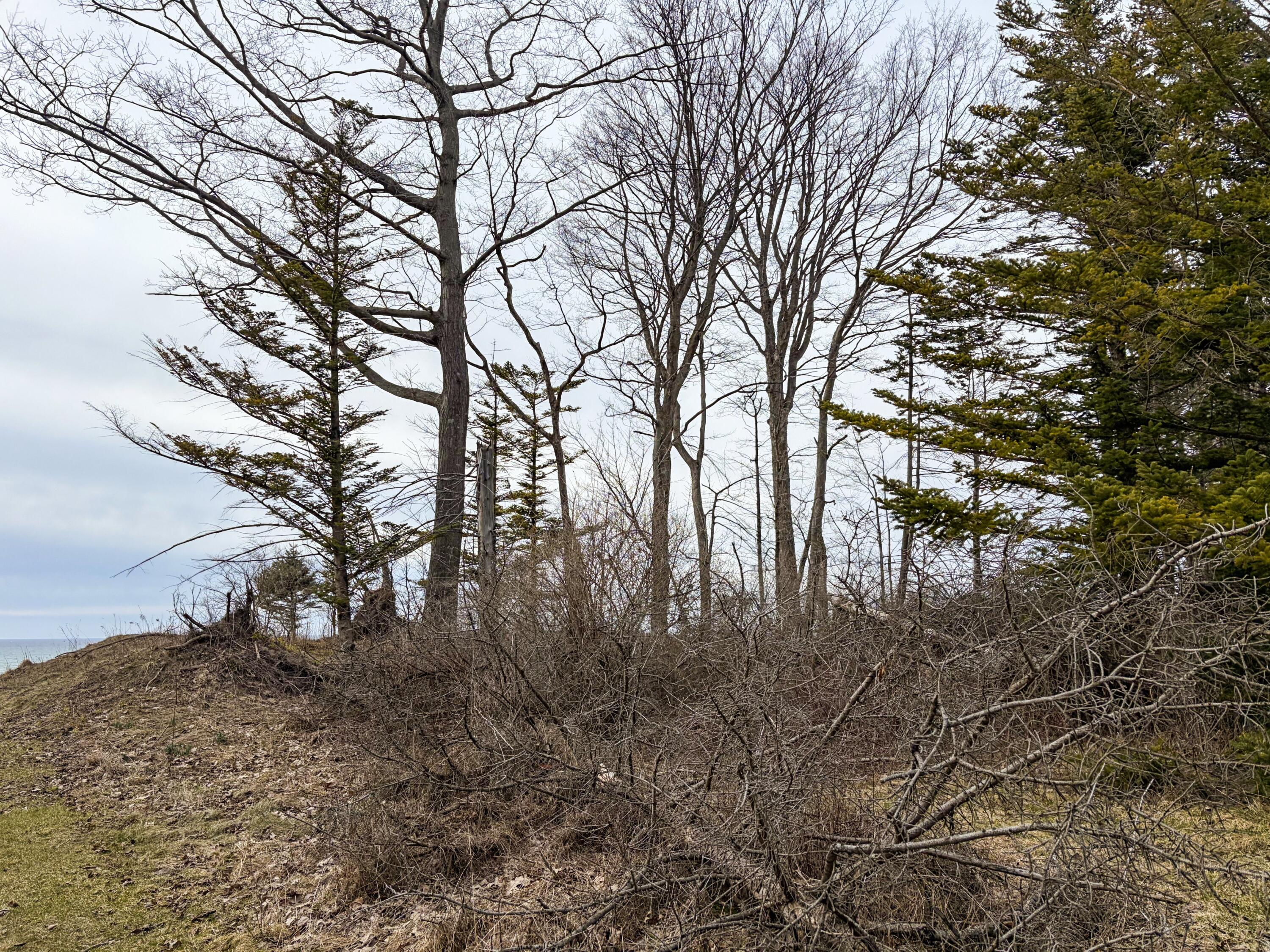 4973 S Lakeshore Drive Ludington MI 49431