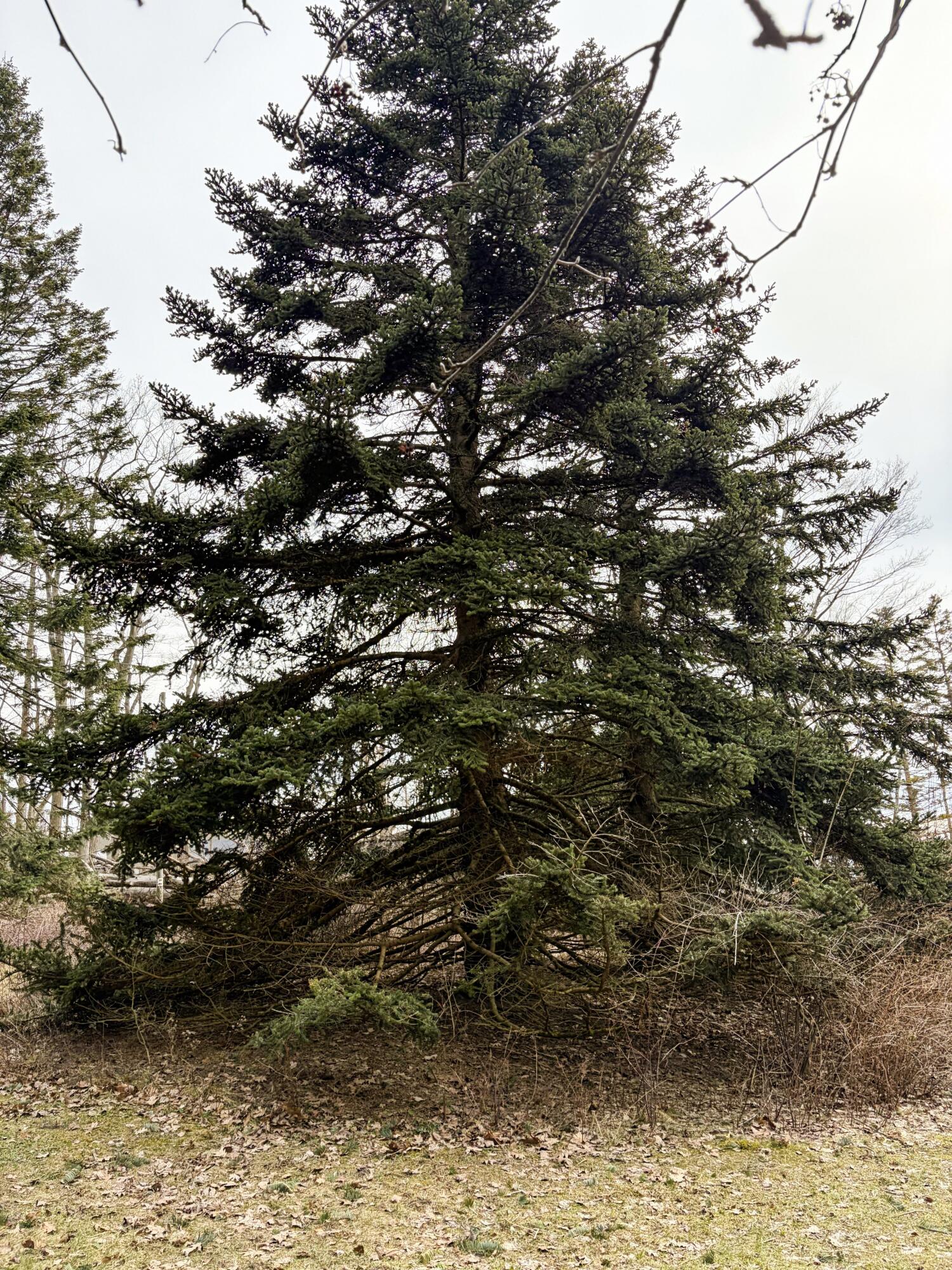 4973 S Lakeshore Drive Ludington MI 49431