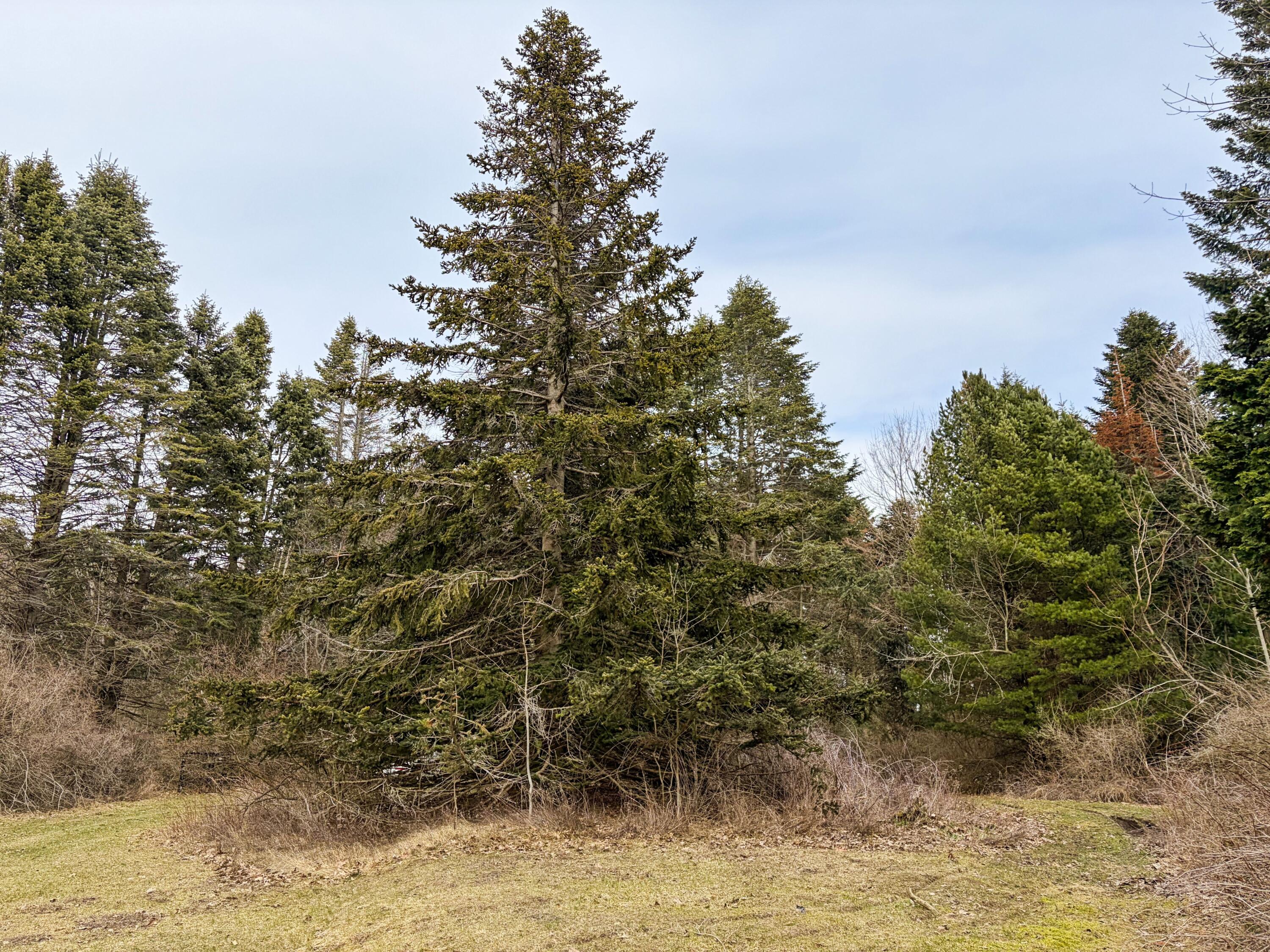4973 S Lakeshore Drive Ludington MI 49431