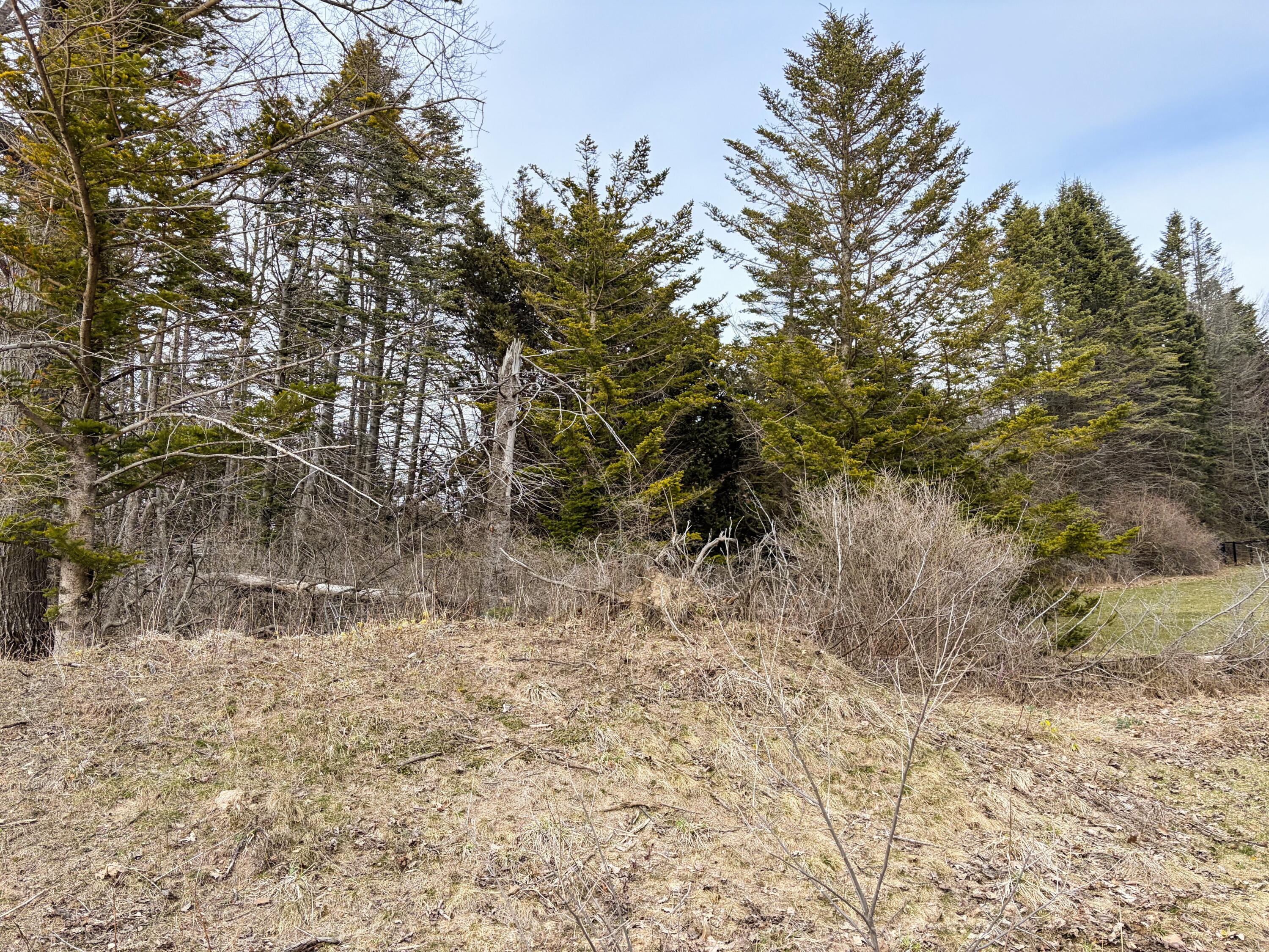 4973 S Lakeshore Drive Ludington MI 49431