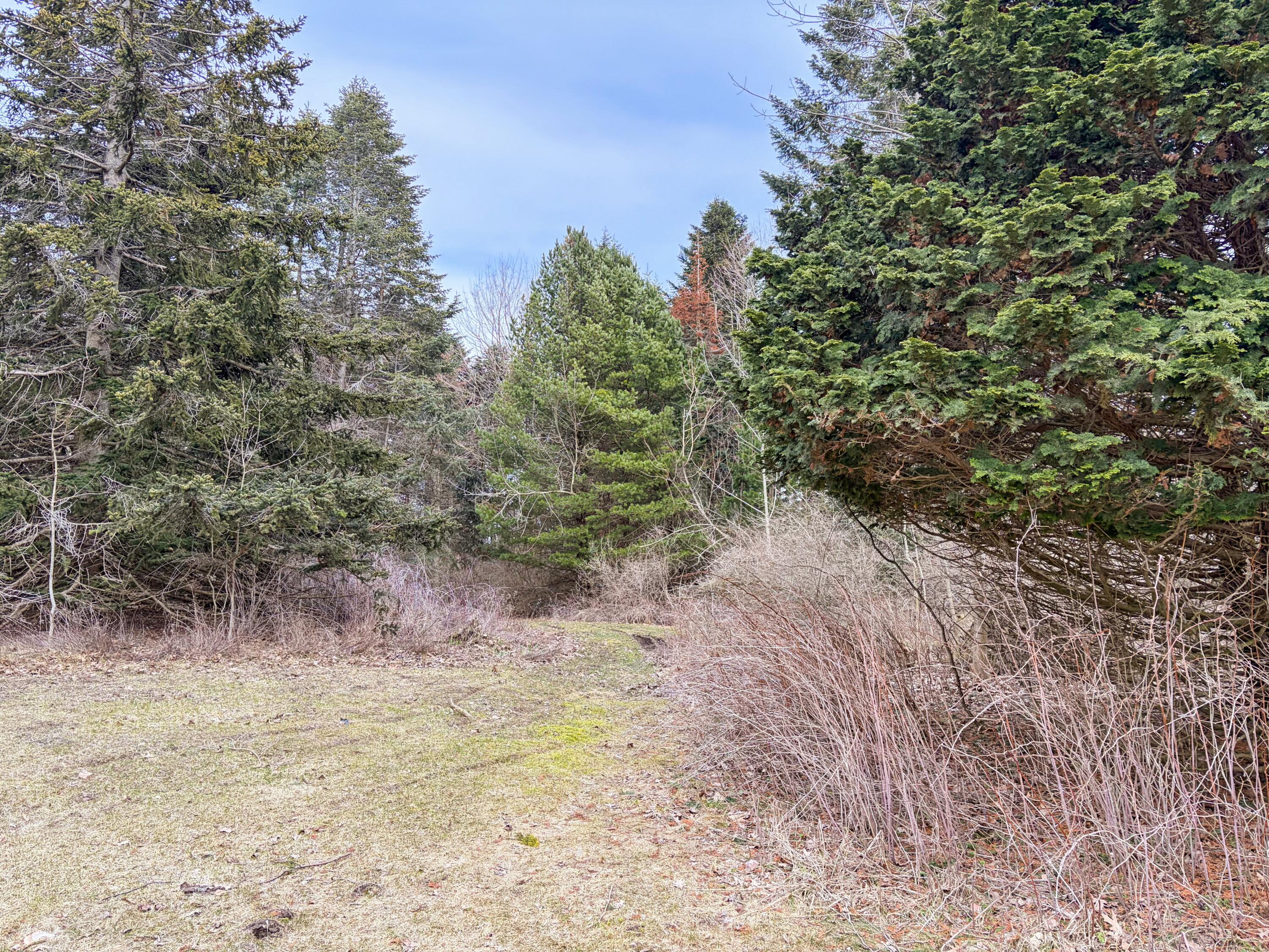 4973 S Lakeshore Drive Ludington MI 49431