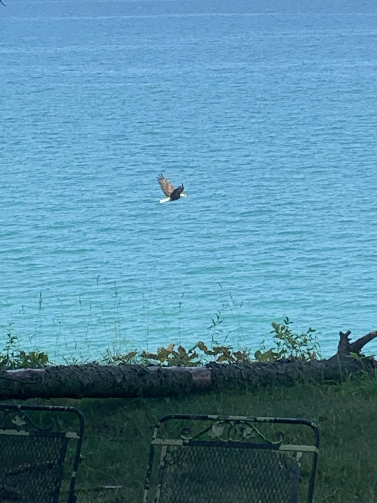 4973 S Lakeshore Drive Ludington MI 49431