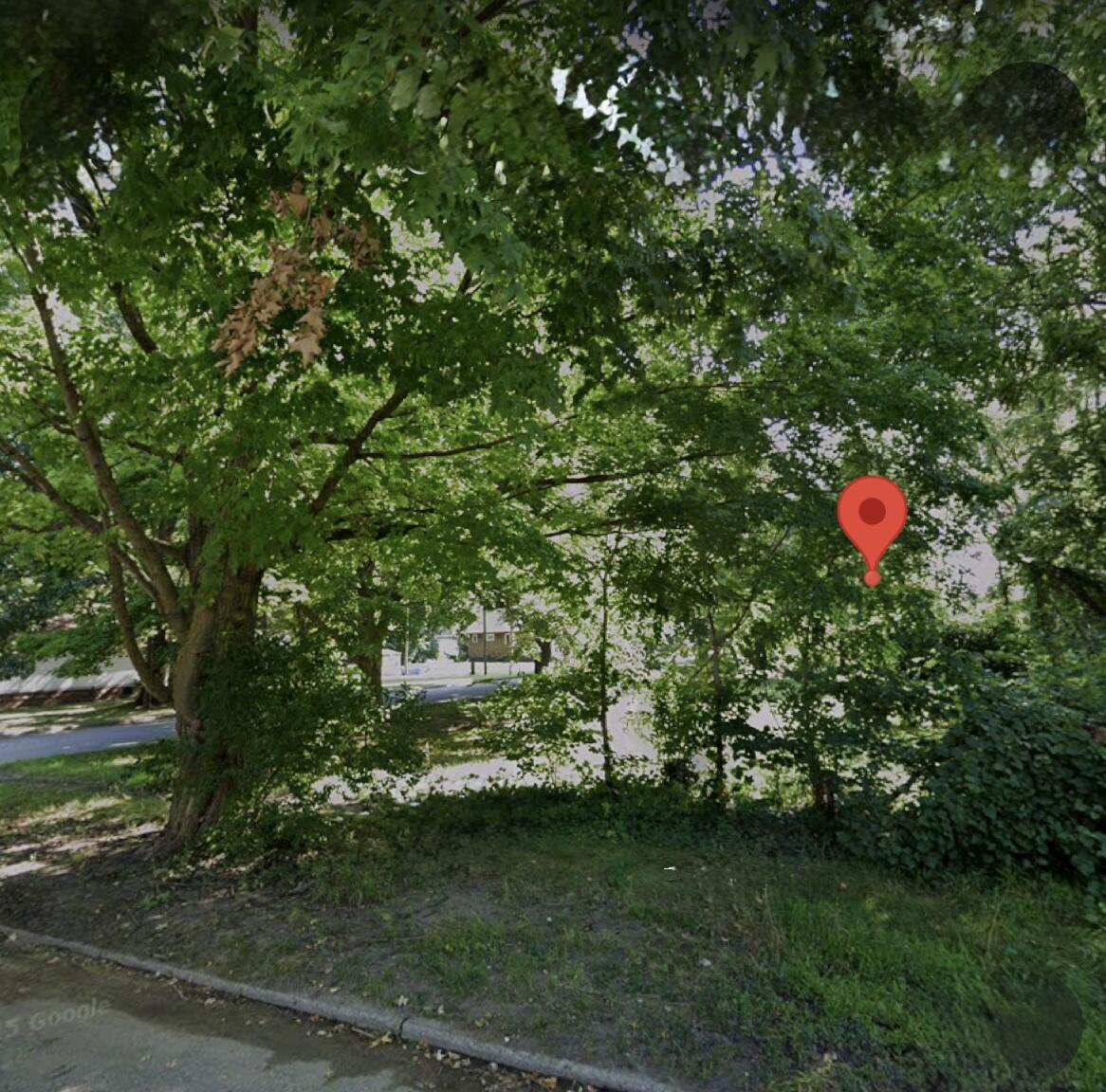 1123 N 9th Street Niles MI 49120