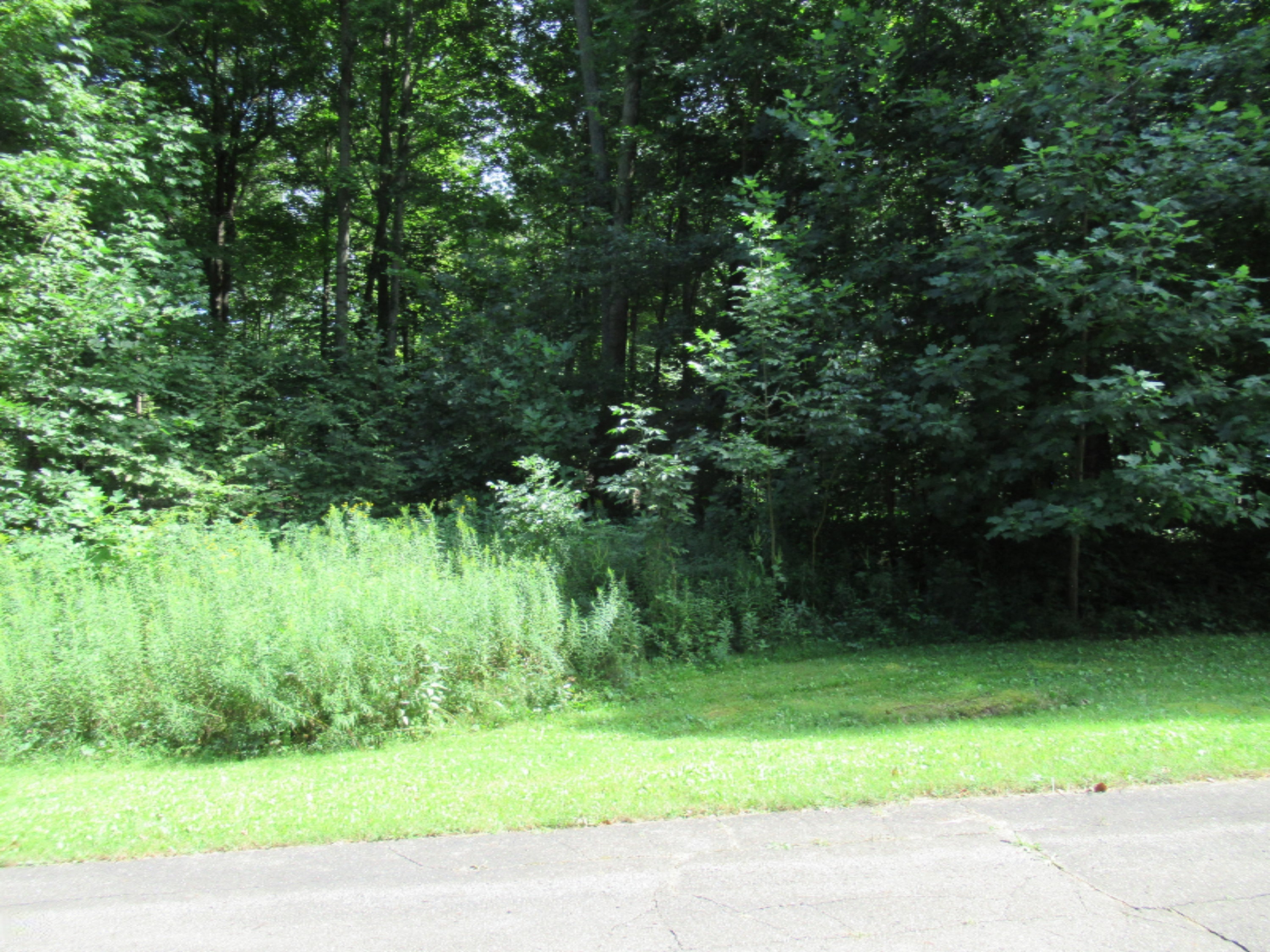 Tract 4 Deep Woods Drive Cassopolis MI 49031