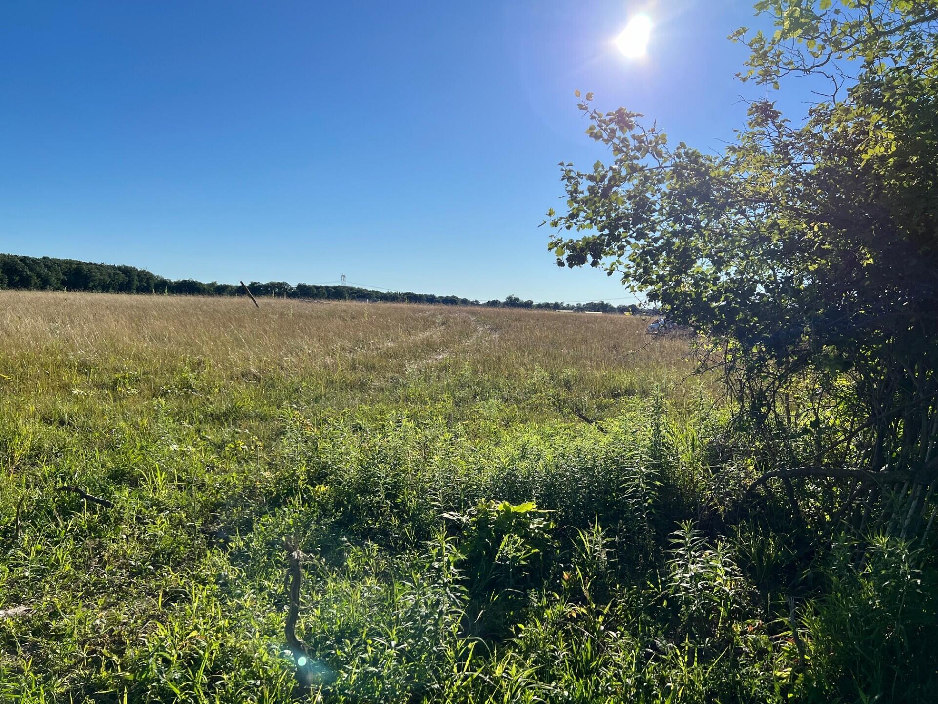 16222 Holden Road Galien MI 49113