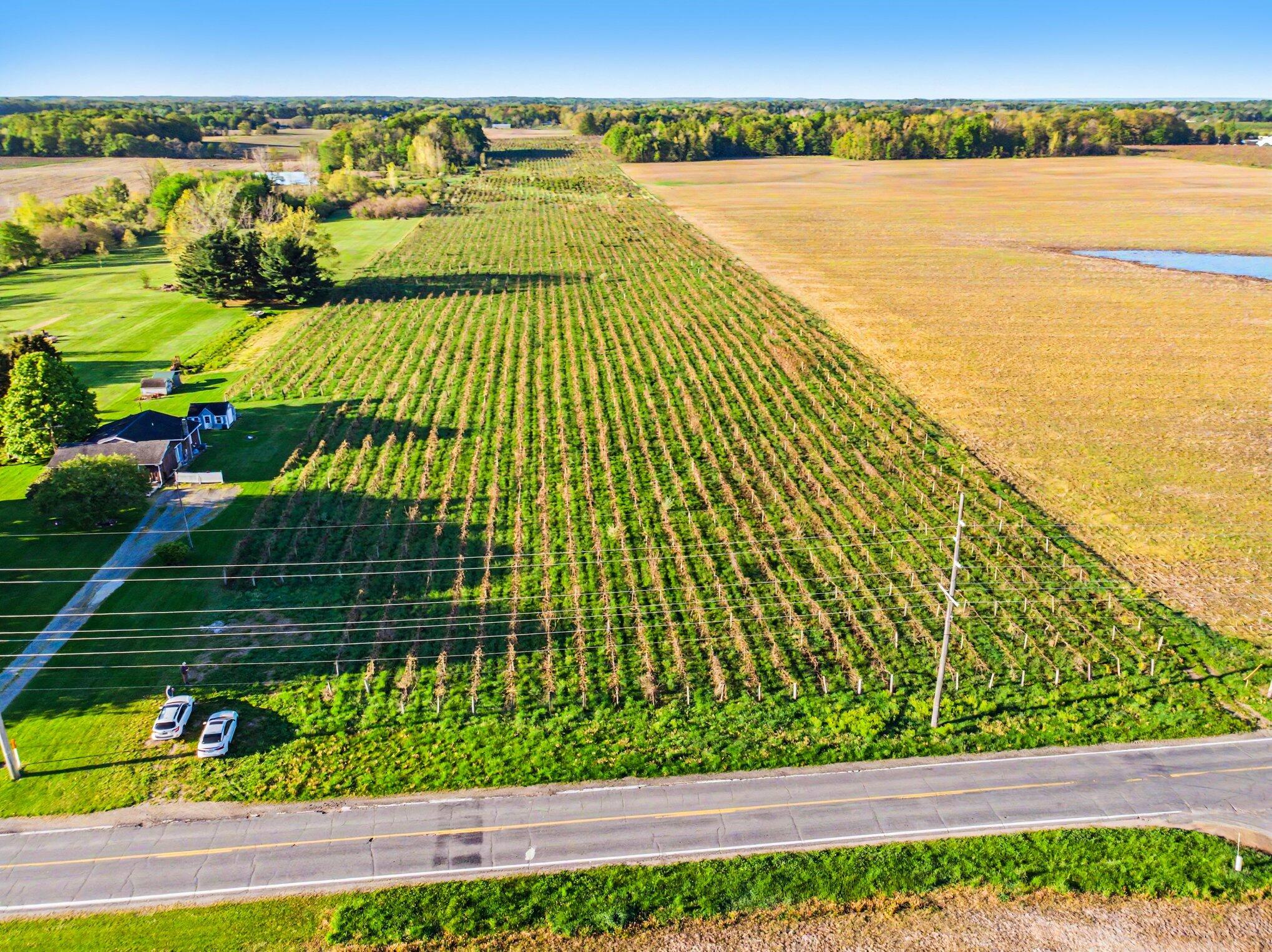 V/l E Lemon Creek Road Berrien Springs MI 49103