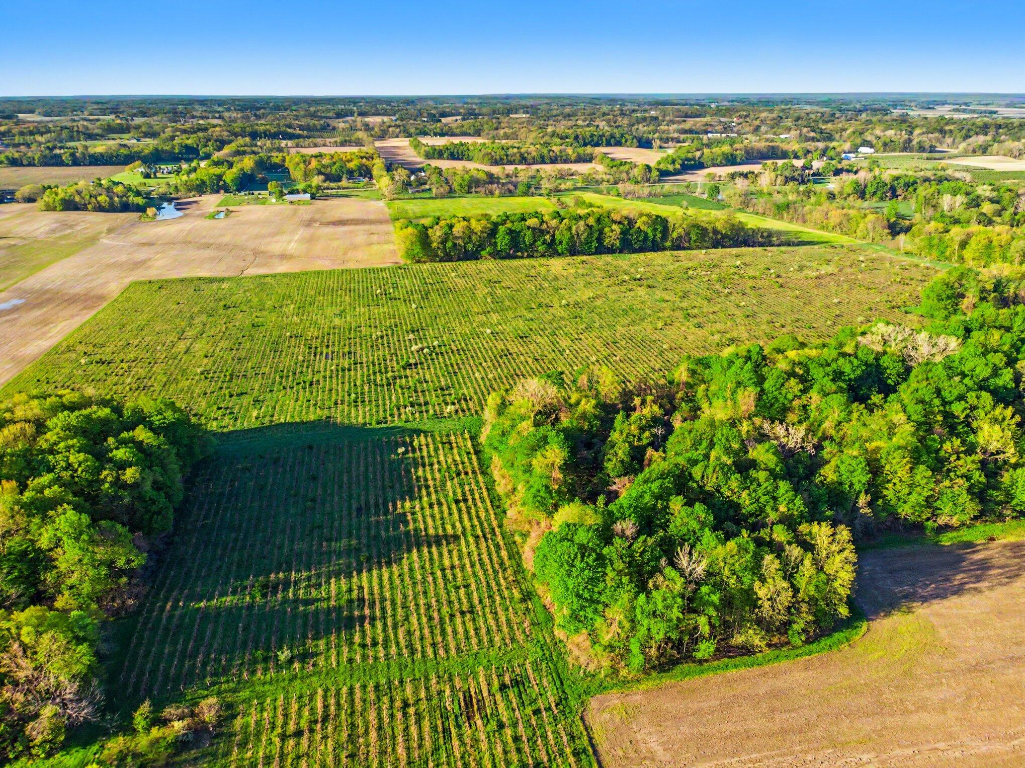 V/l E Lemon Creek Road Berrien Springs MI 49103
