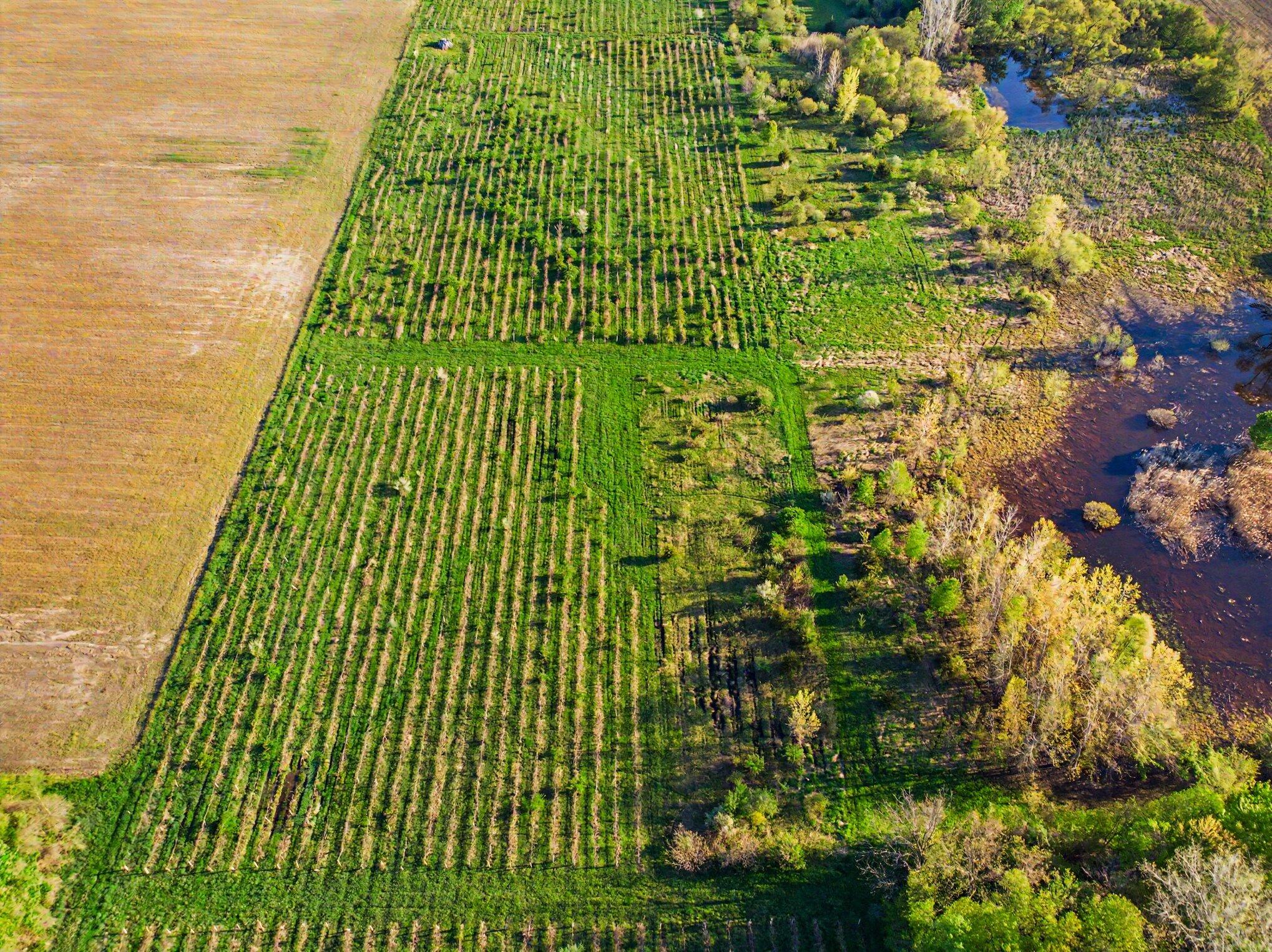 V/l E Lemon Creek Road Berrien Springs MI 49103