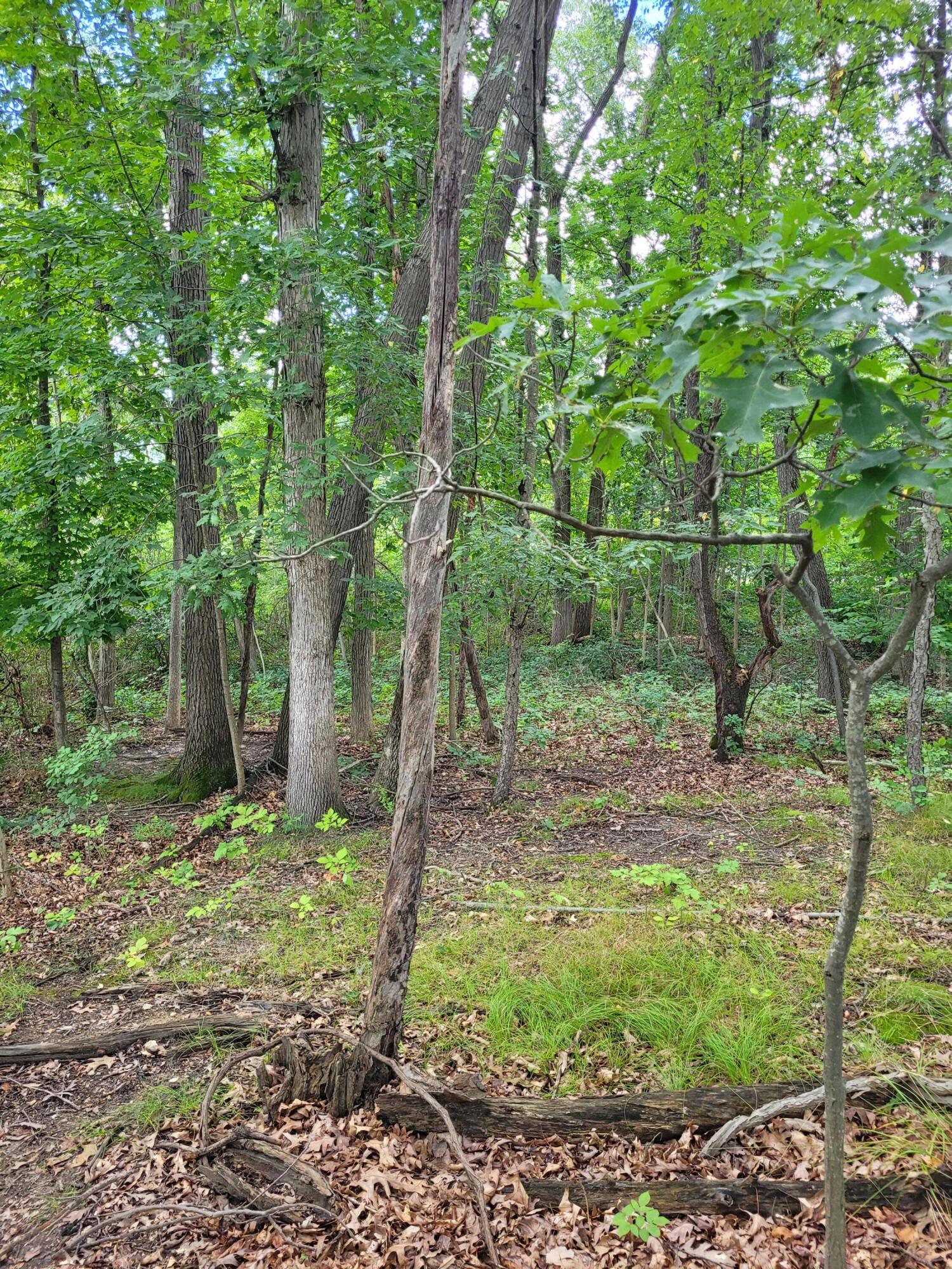 0 Us 12 W Buchanan MI 49107