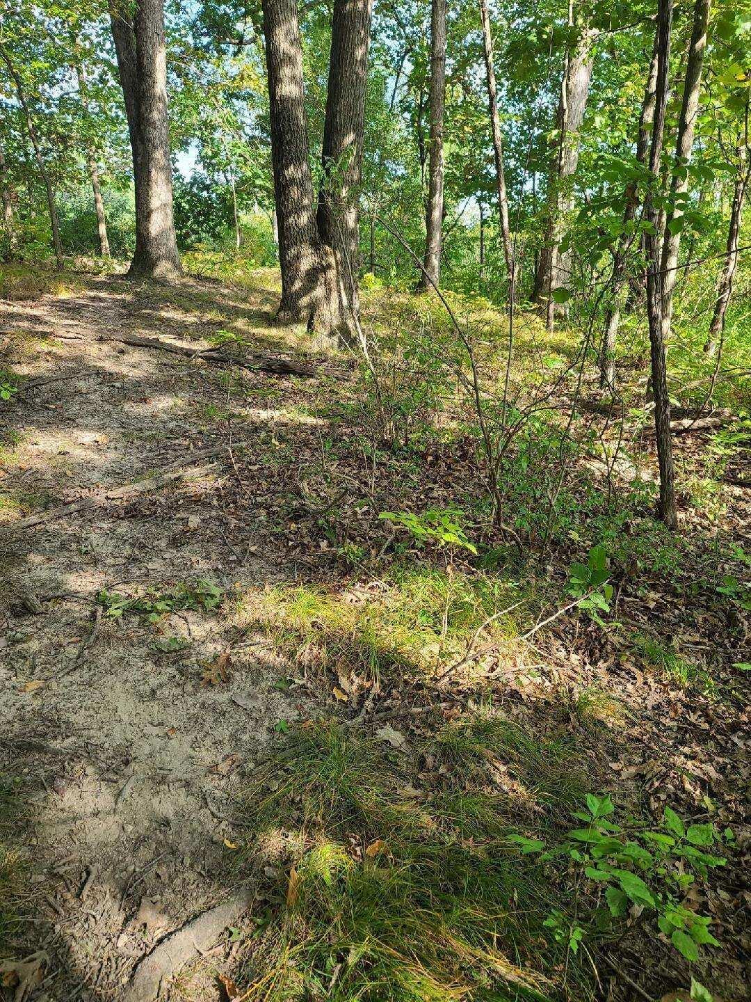 0 Us 12 W Buchanan MI 49107