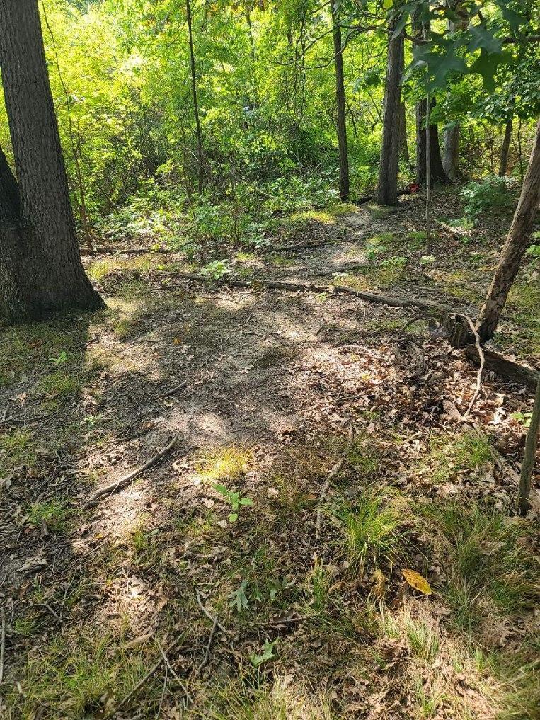 0 Us 12 W Buchanan MI 49107