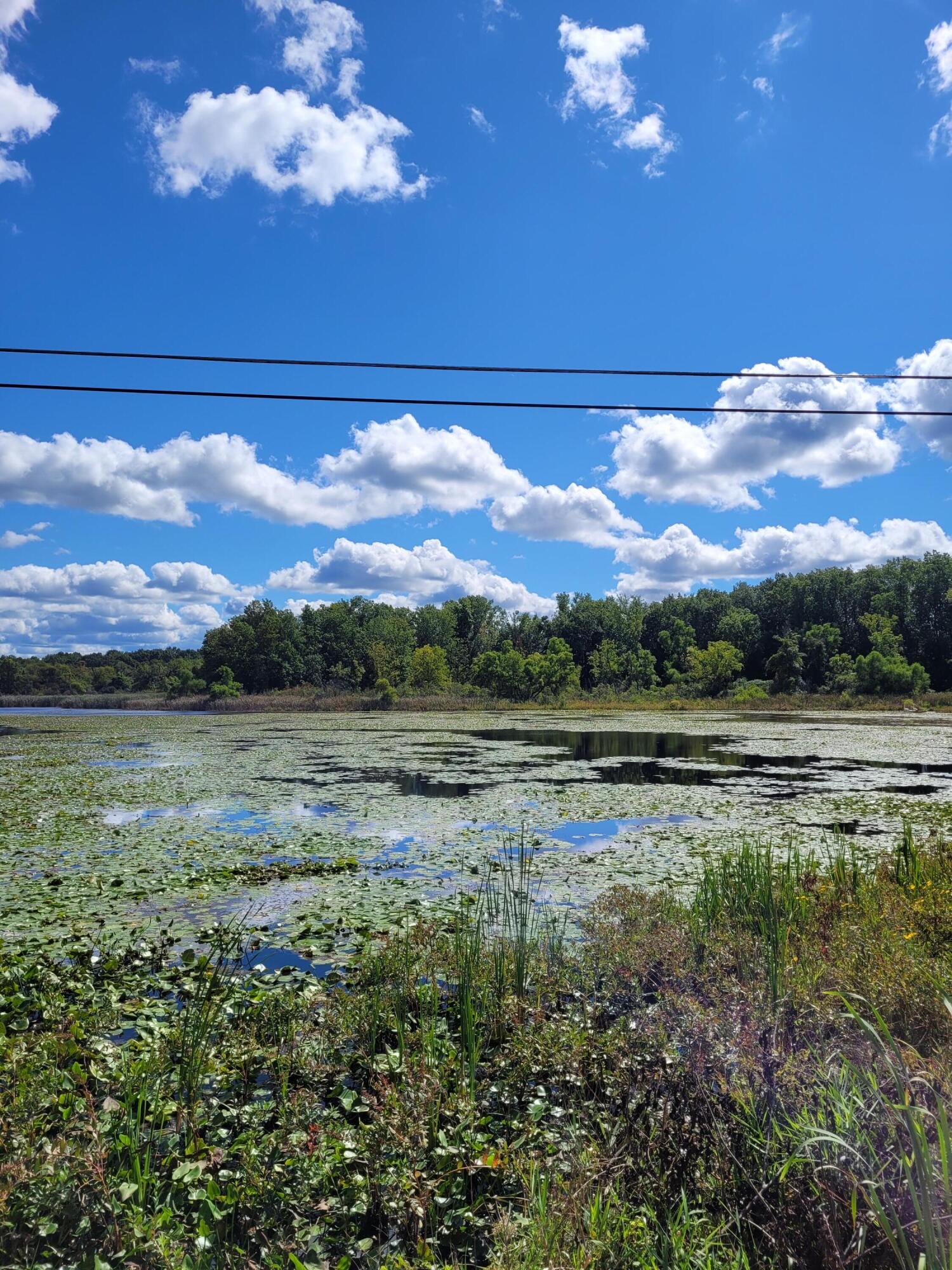 0 Us 12 W Buchanan MI 49107