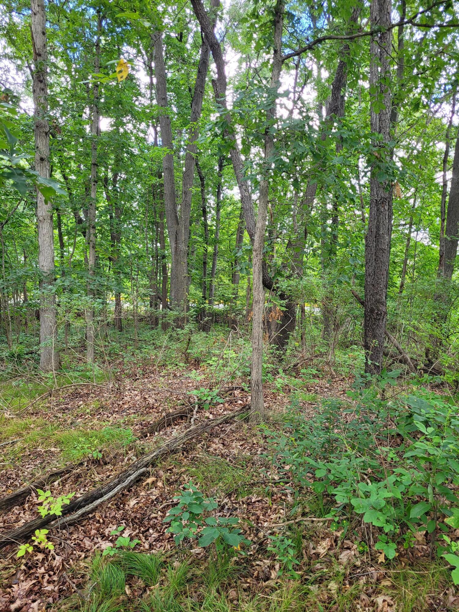 0 Us 12 W Buchanan MI 49107