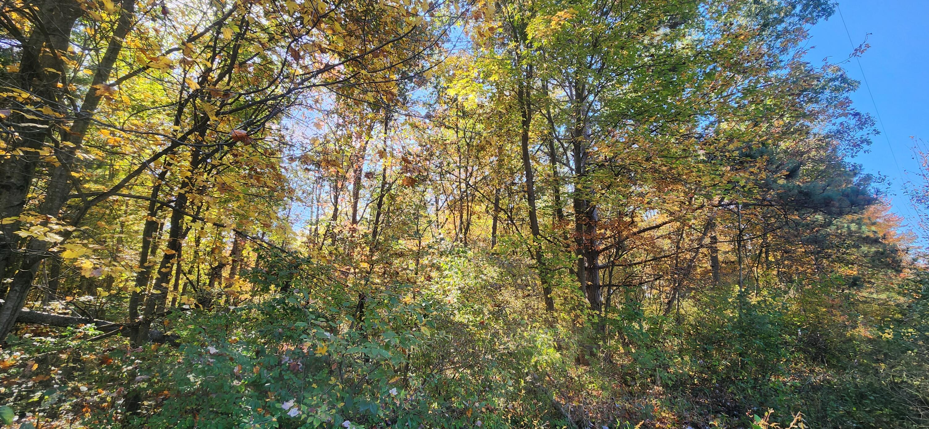 0 E Riley-thompson Road Muskegon MI 49445