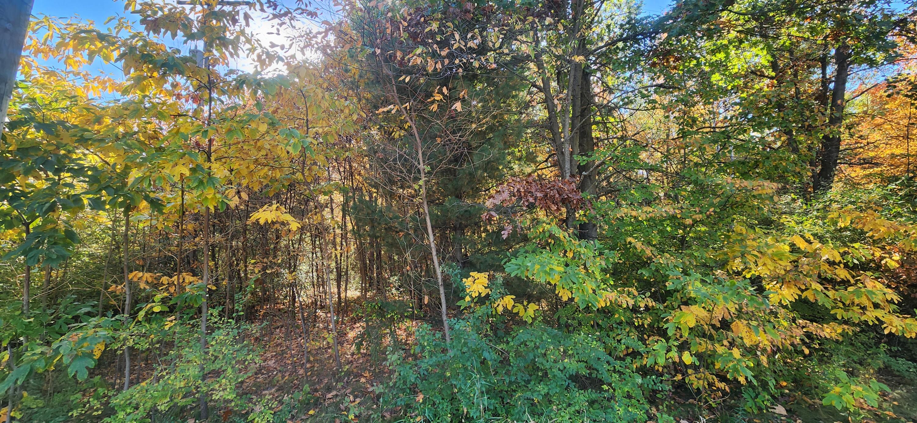 0 E Riley-thompson Road Muskegon MI 49445