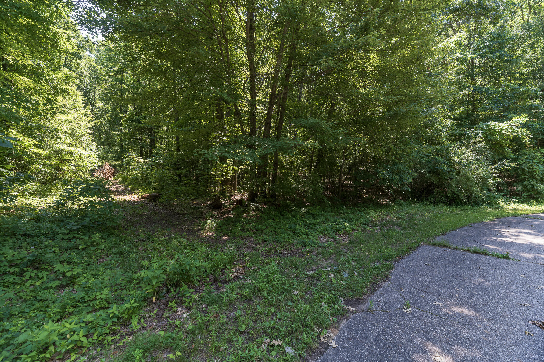 7230 Owen Hills Drive Kalamazoo MI 49009