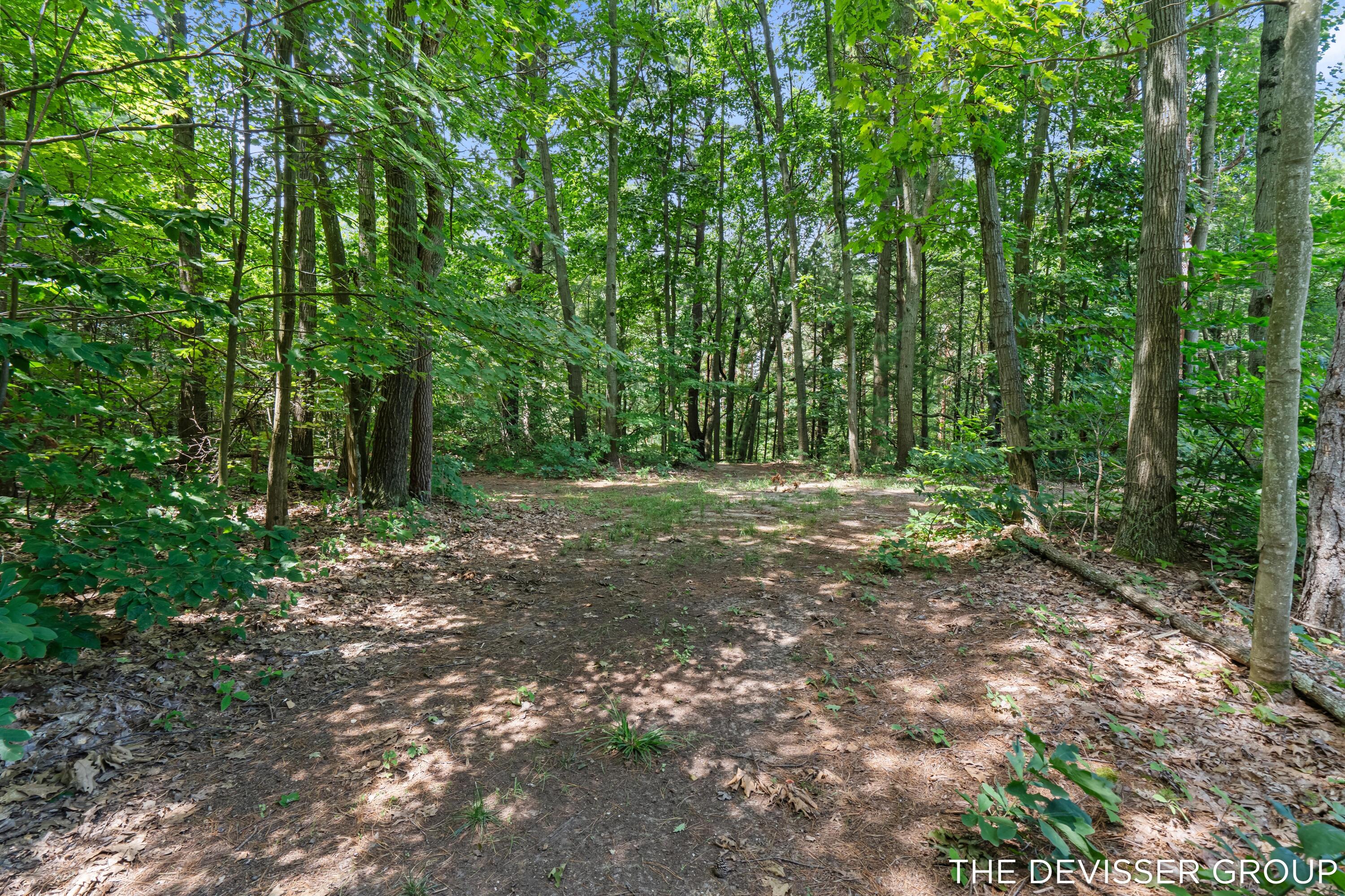 5837 Timber Bluff Trail Fennville MI 49408