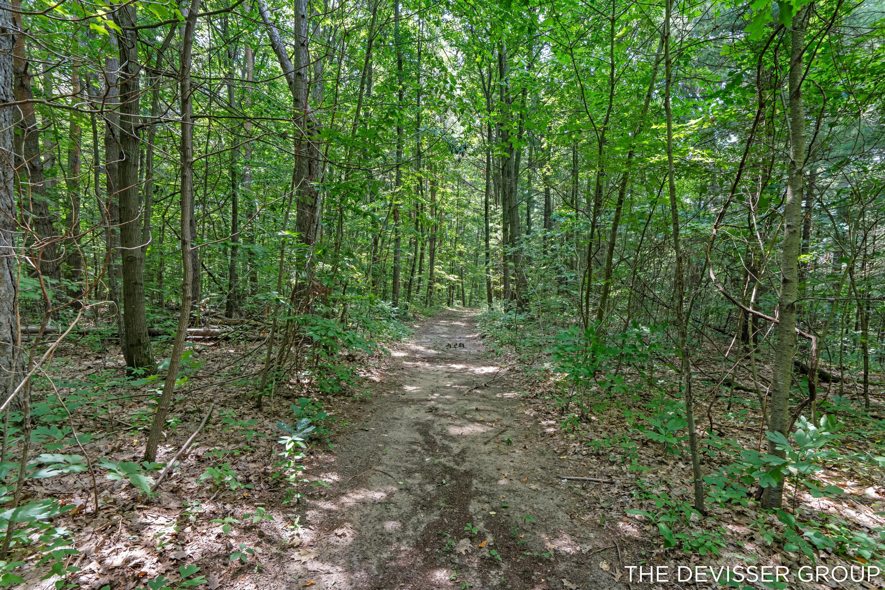 5837 Timber Bluff Trail Fennville MI 49408