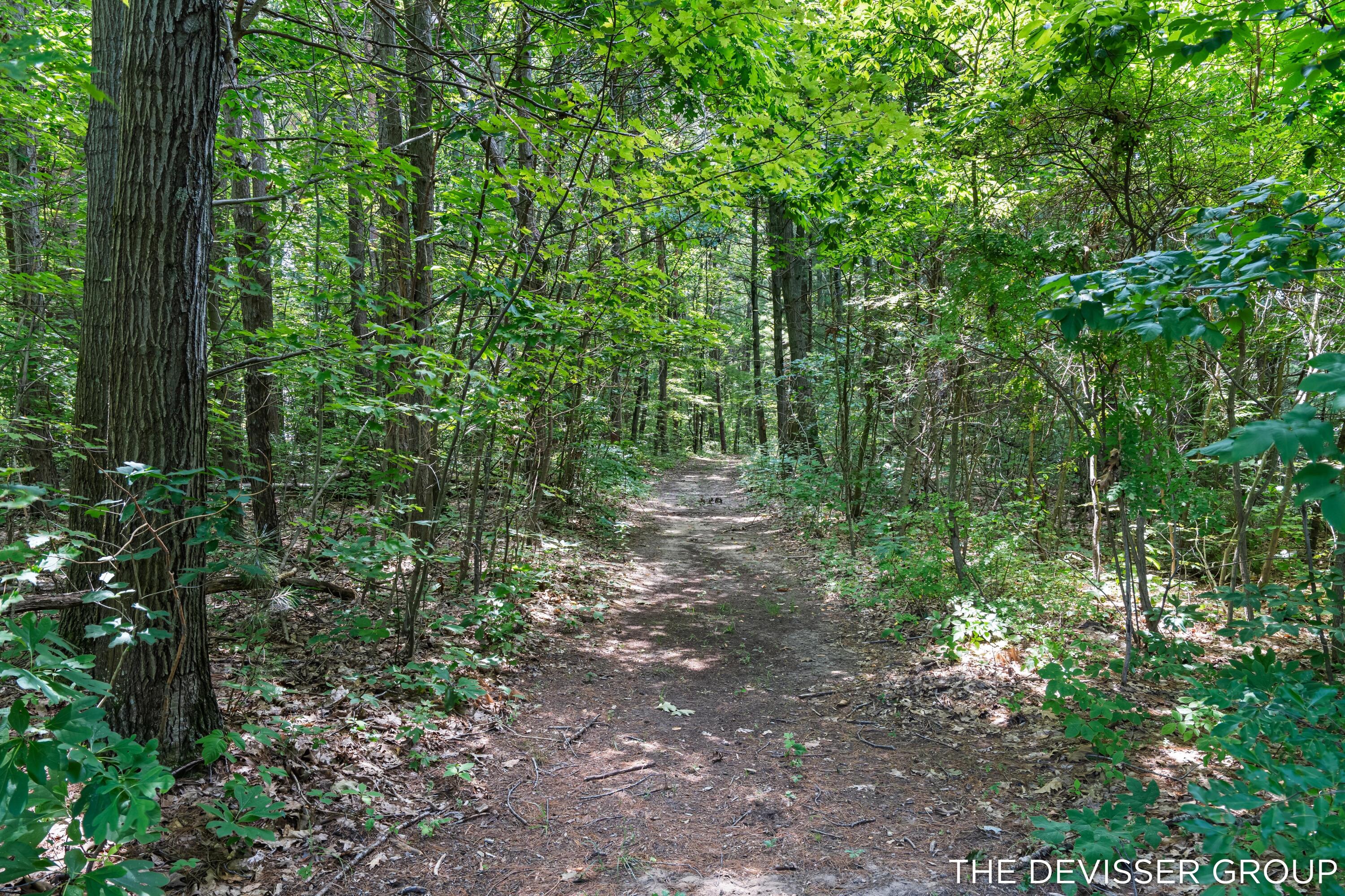 5837 Timber Bluff Trail Fennville MI 49408