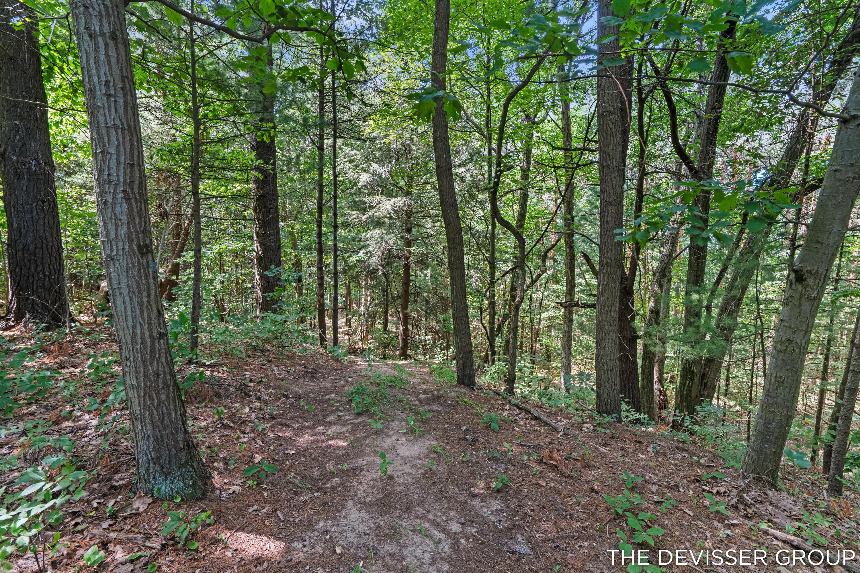 5837 Timber Bluff Trail Fennville MI 49408