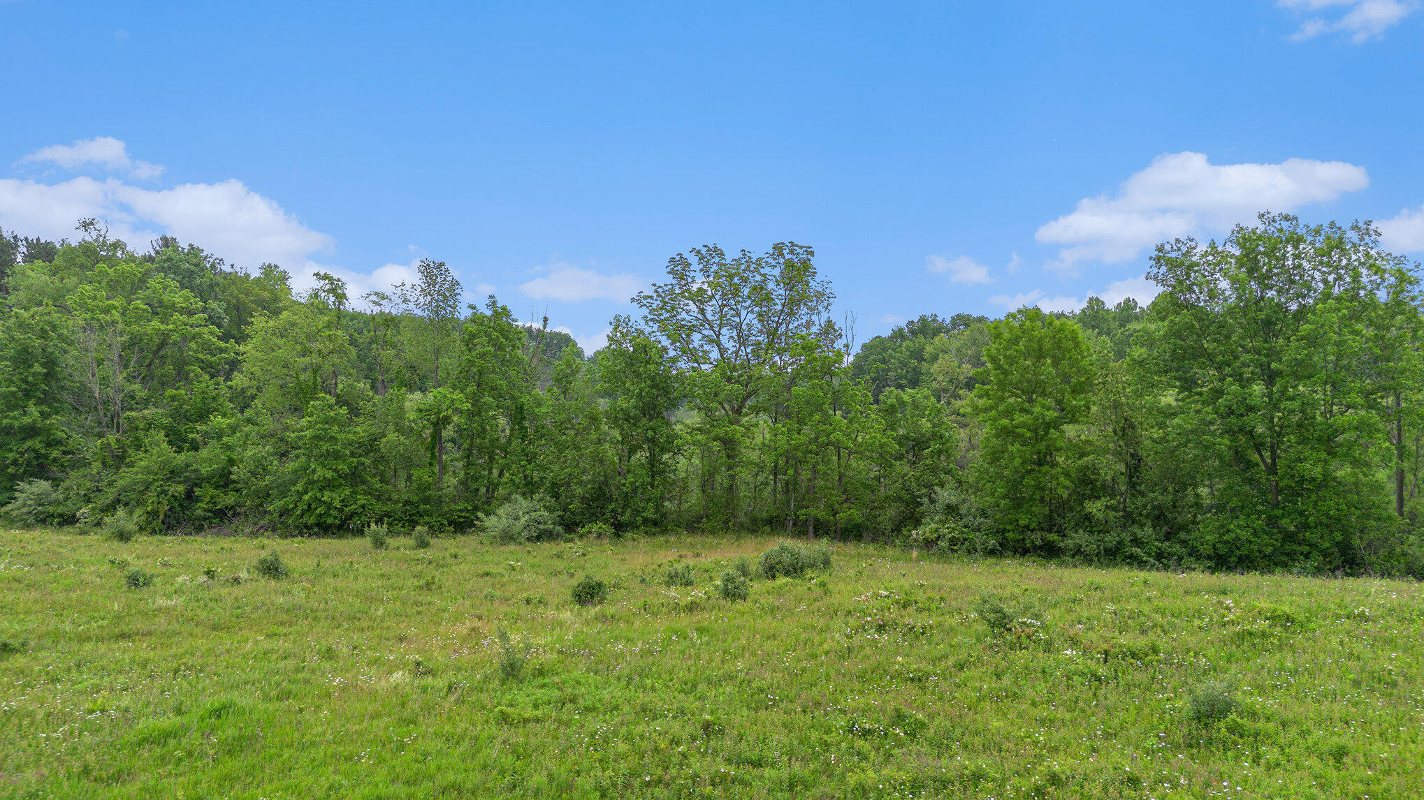 0 E Clear Lake Road Buchanan MI 49107