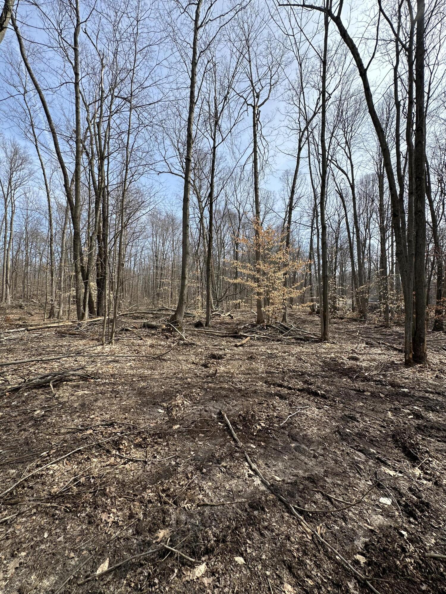 Vl Lake Drive Allegan MI 49010