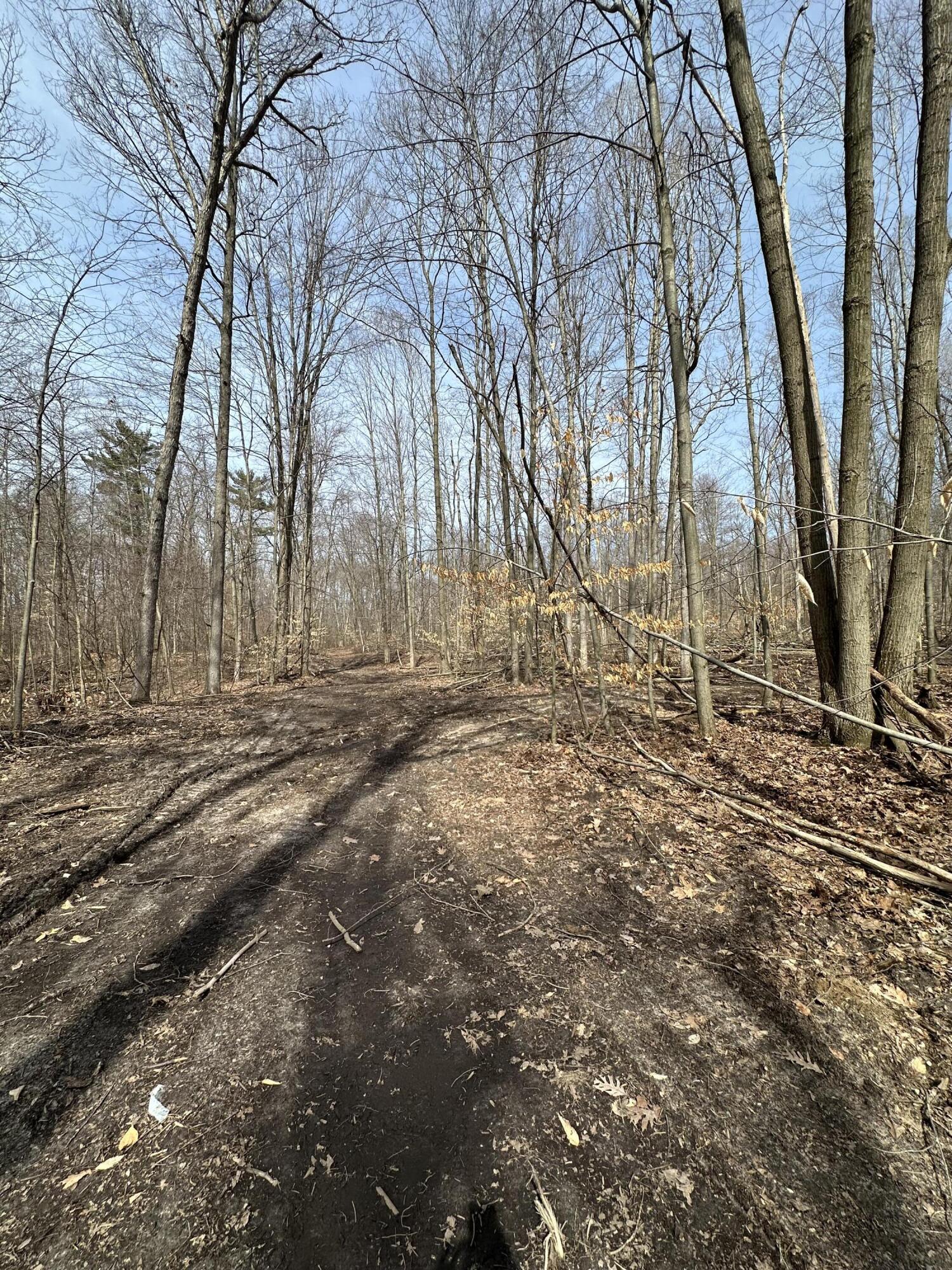 Vl Lake Drive Allegan MI 49010