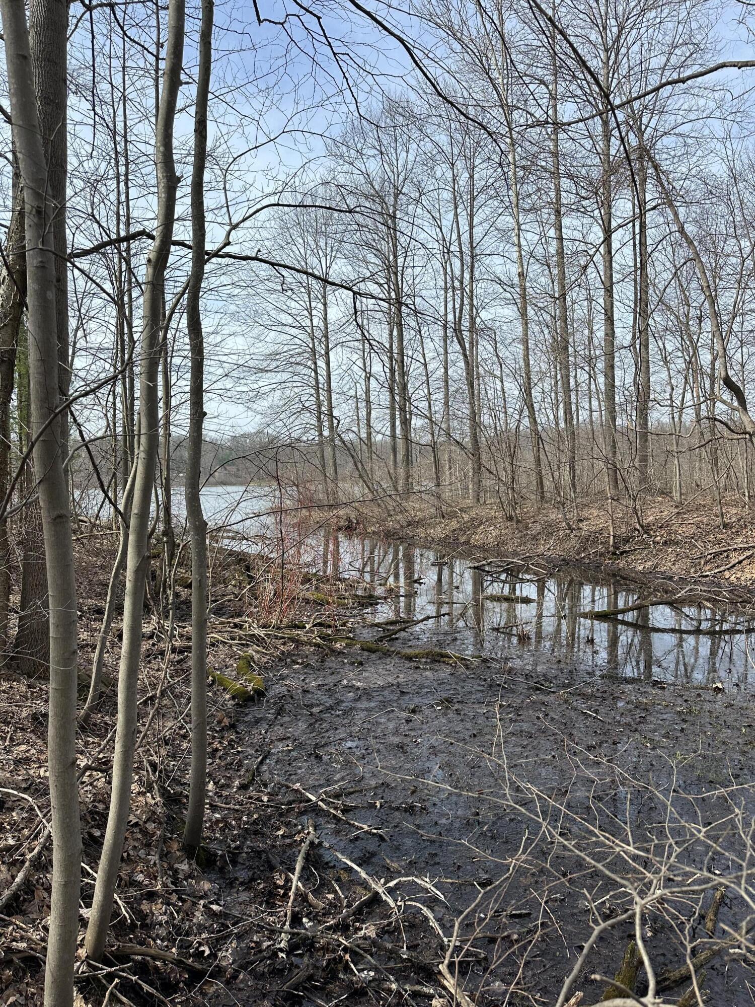 Vl Lake Drive Allegan MI 49010