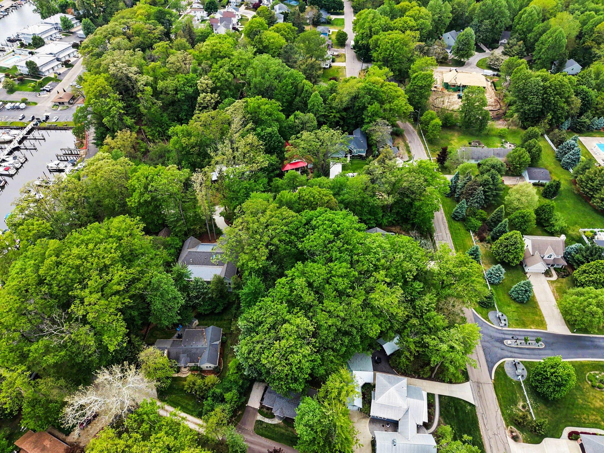434 Beech Street South Haven MI 49090