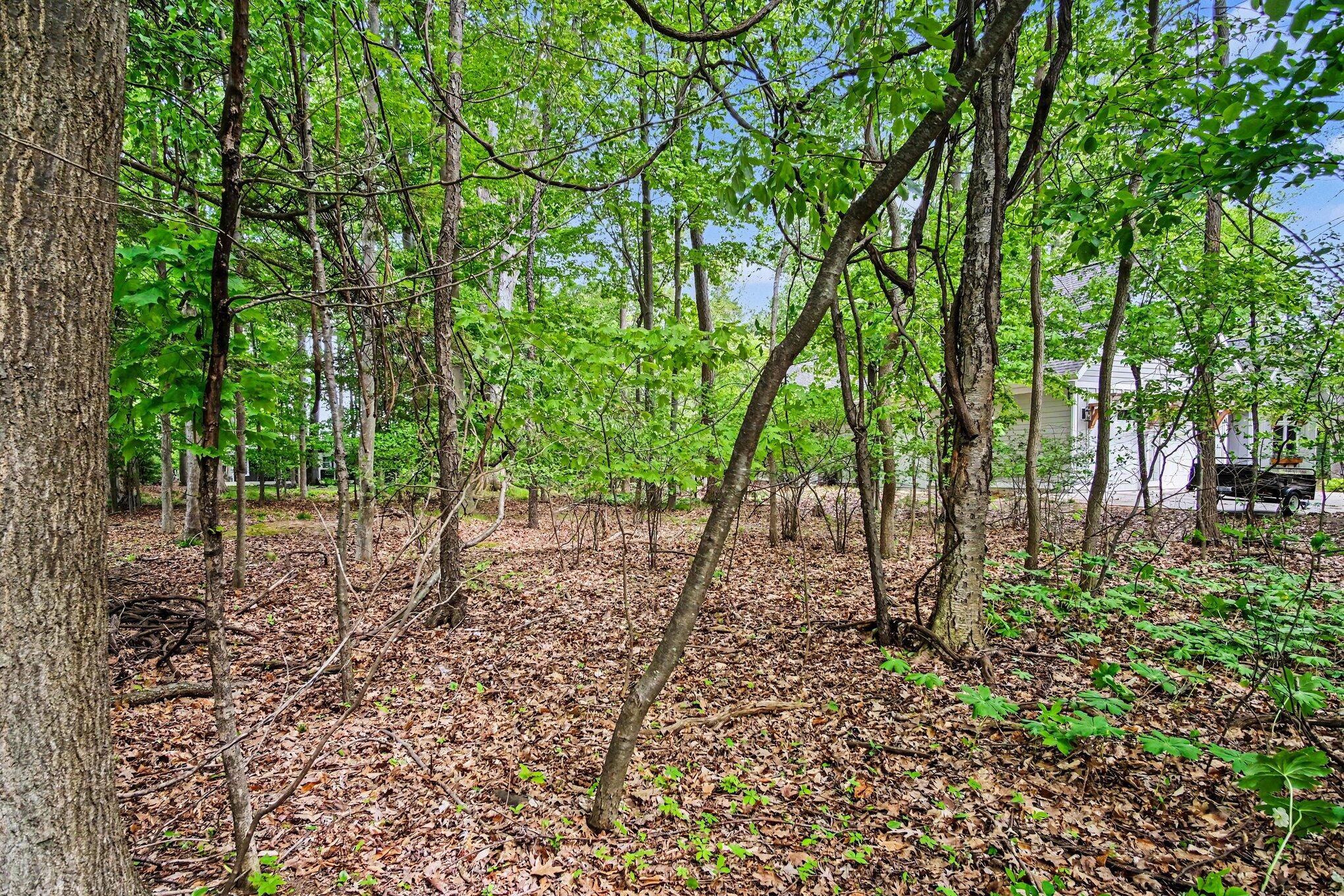 434 Beech Street South Haven MI 49090