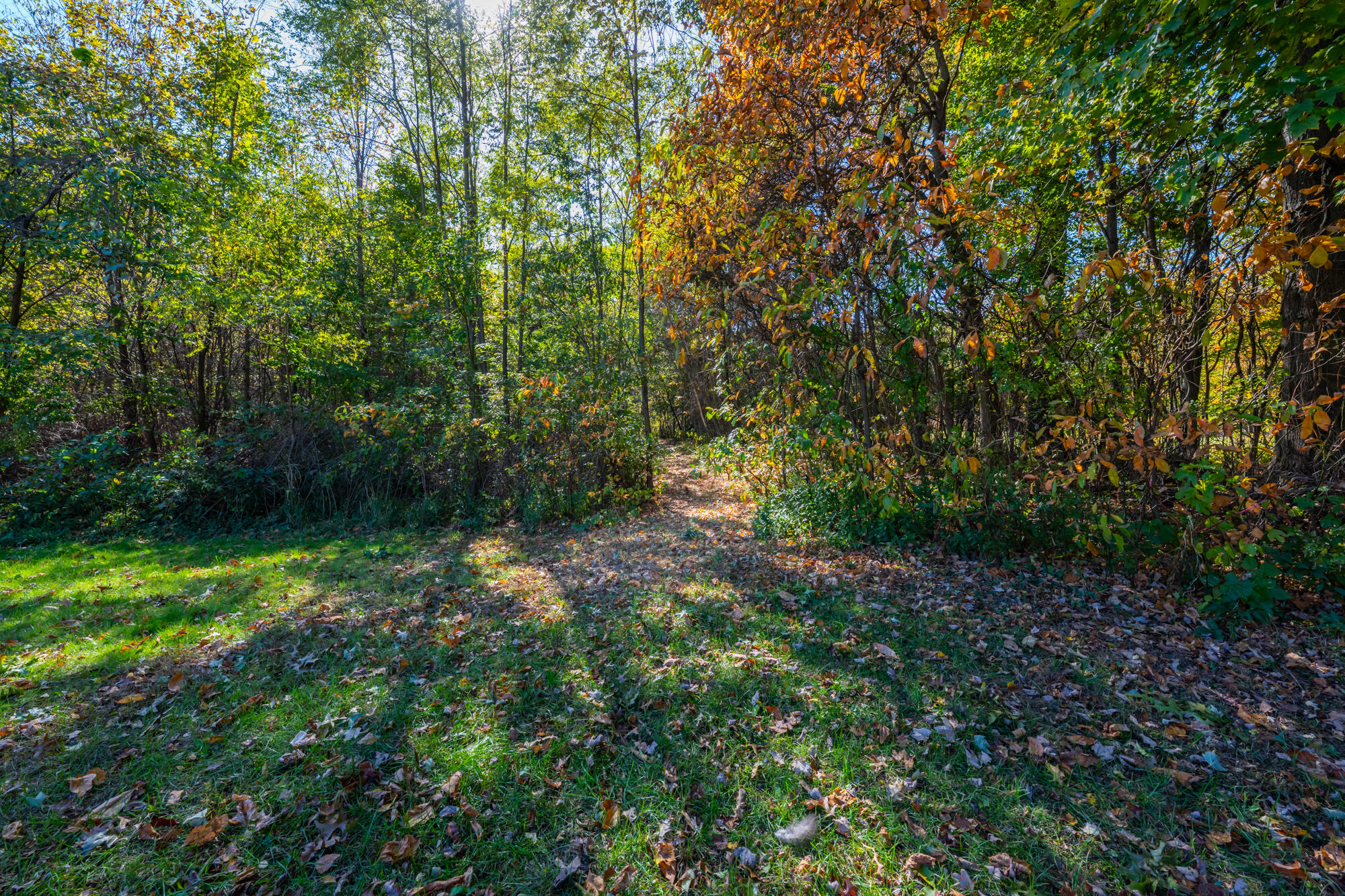 3818 Sawyer Road Sawyer MI 49125