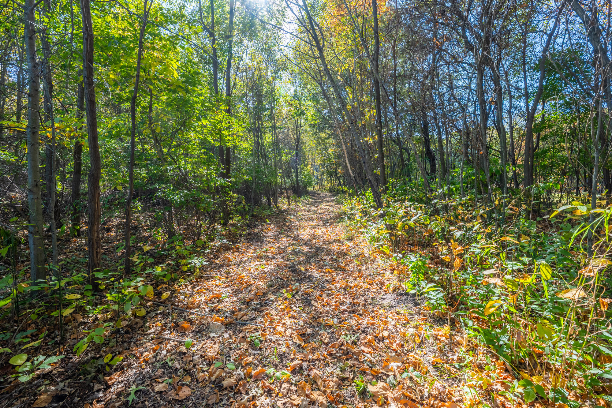 3818 Sawyer Road Sawyer MI 49125