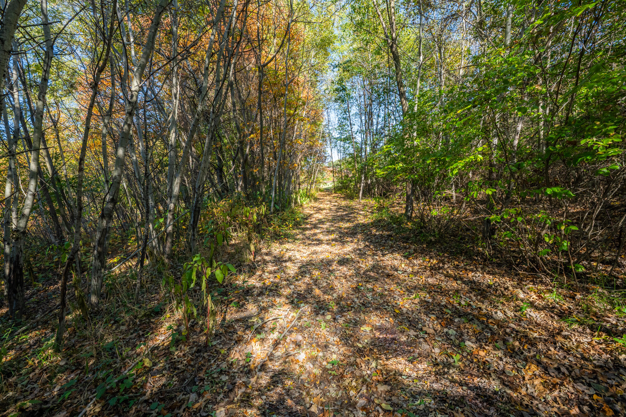 3818 Sawyer Road Sawyer MI 49125