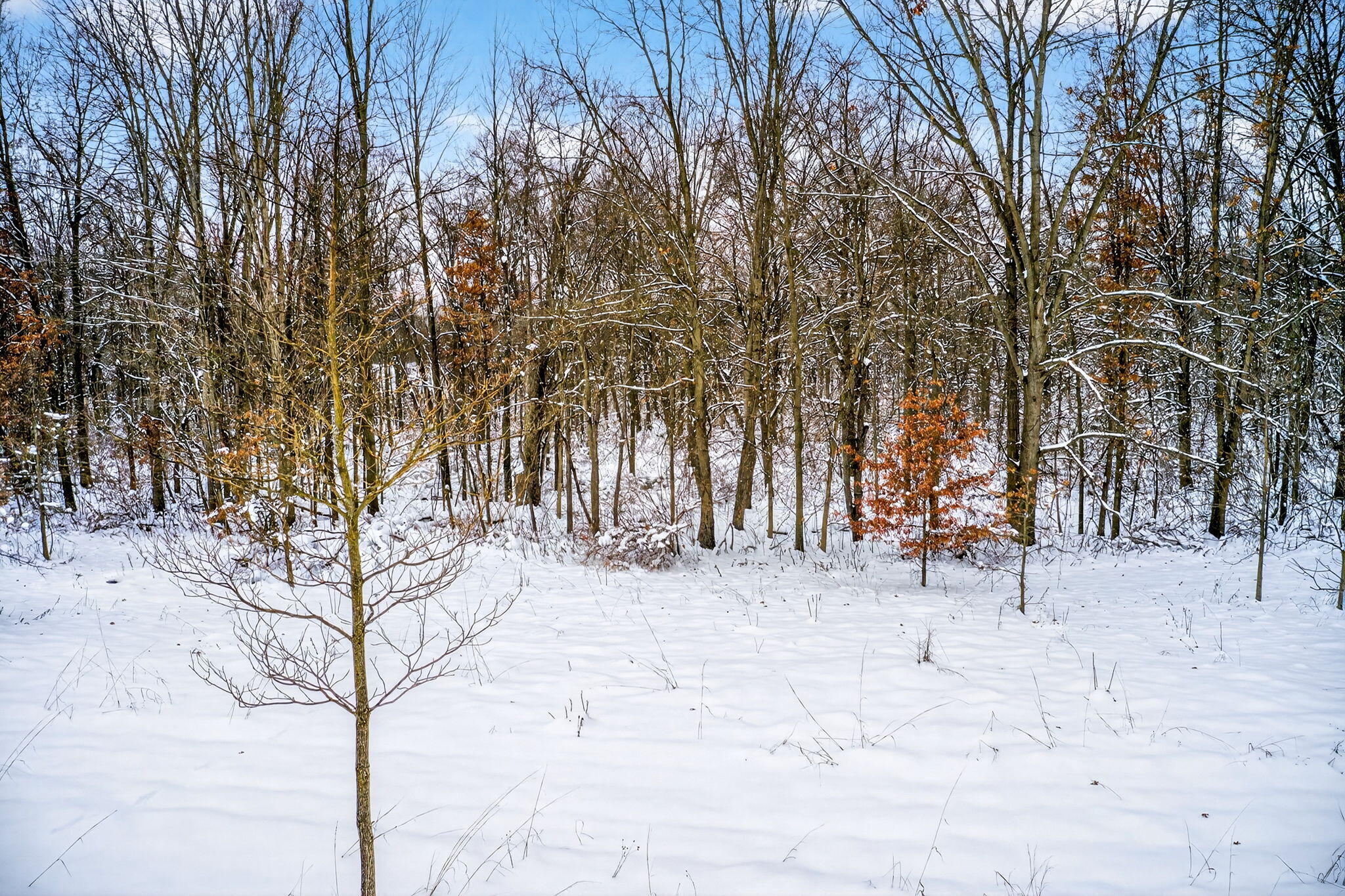 Lot 1,2,3 Garver Lake Road Edwardsburg MI 49112