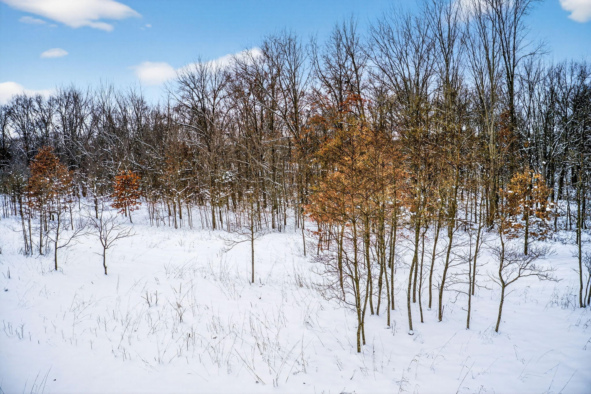Lot 1,2,3 Garver Lake Road Edwardsburg MI 49112