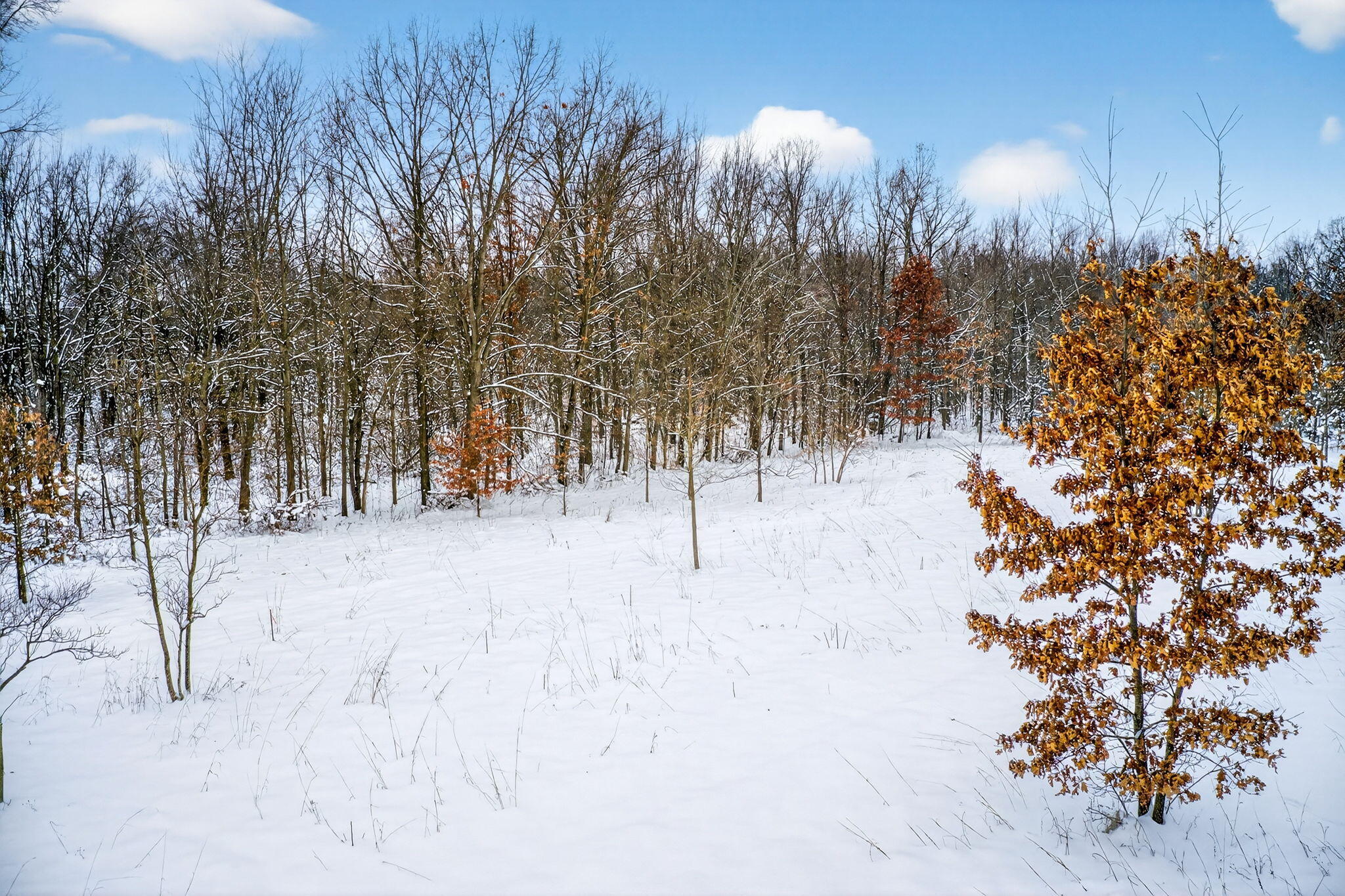 Lot 1,2,3 Garver Lake Road Edwardsburg MI 49112