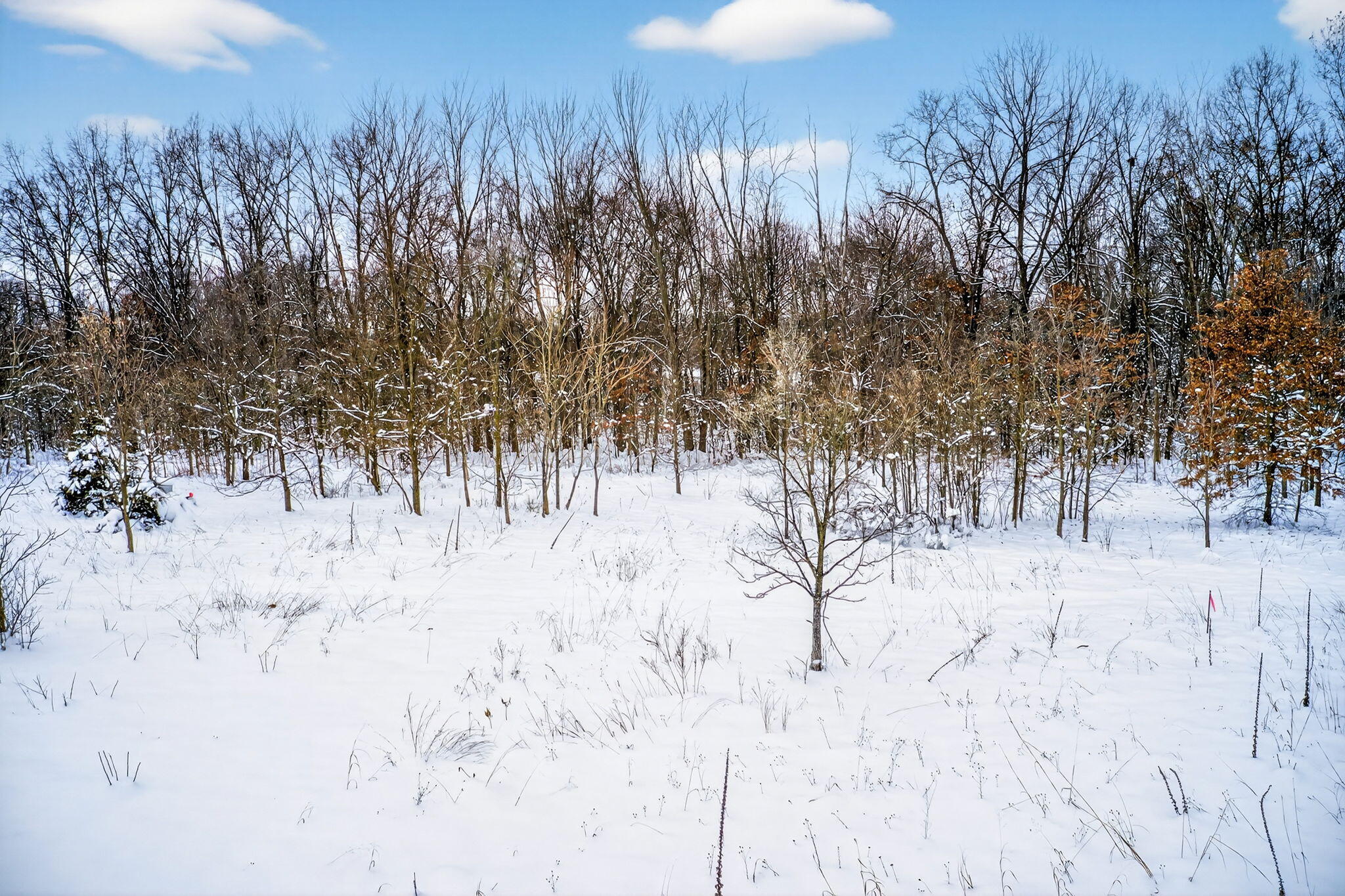 Lot 1,2,3 Garver Lake Road Edwardsburg MI 49112
